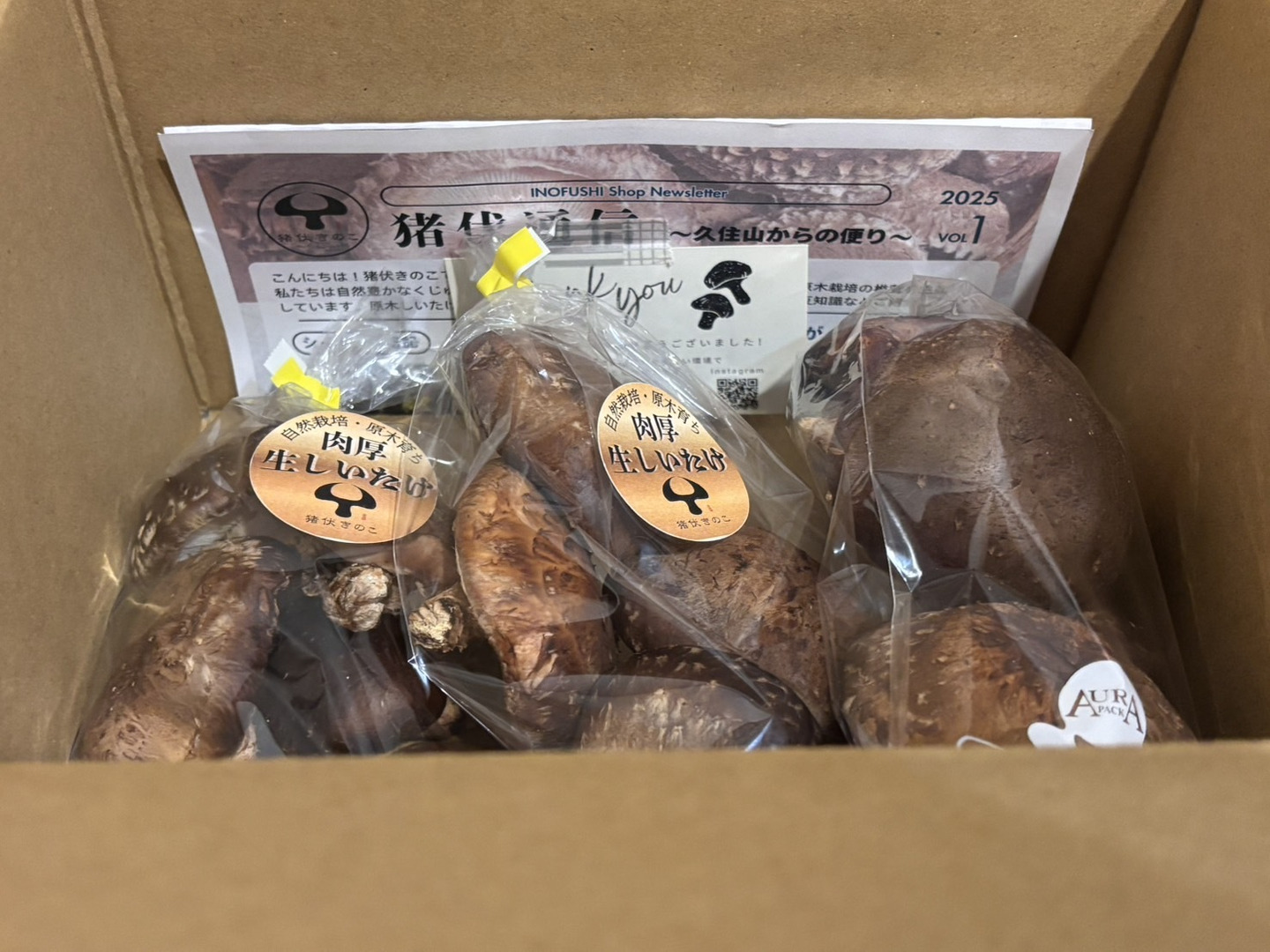 数量限定】3袋パック 肉厚の原木椎茸 約500g：大分県産のシイタケ