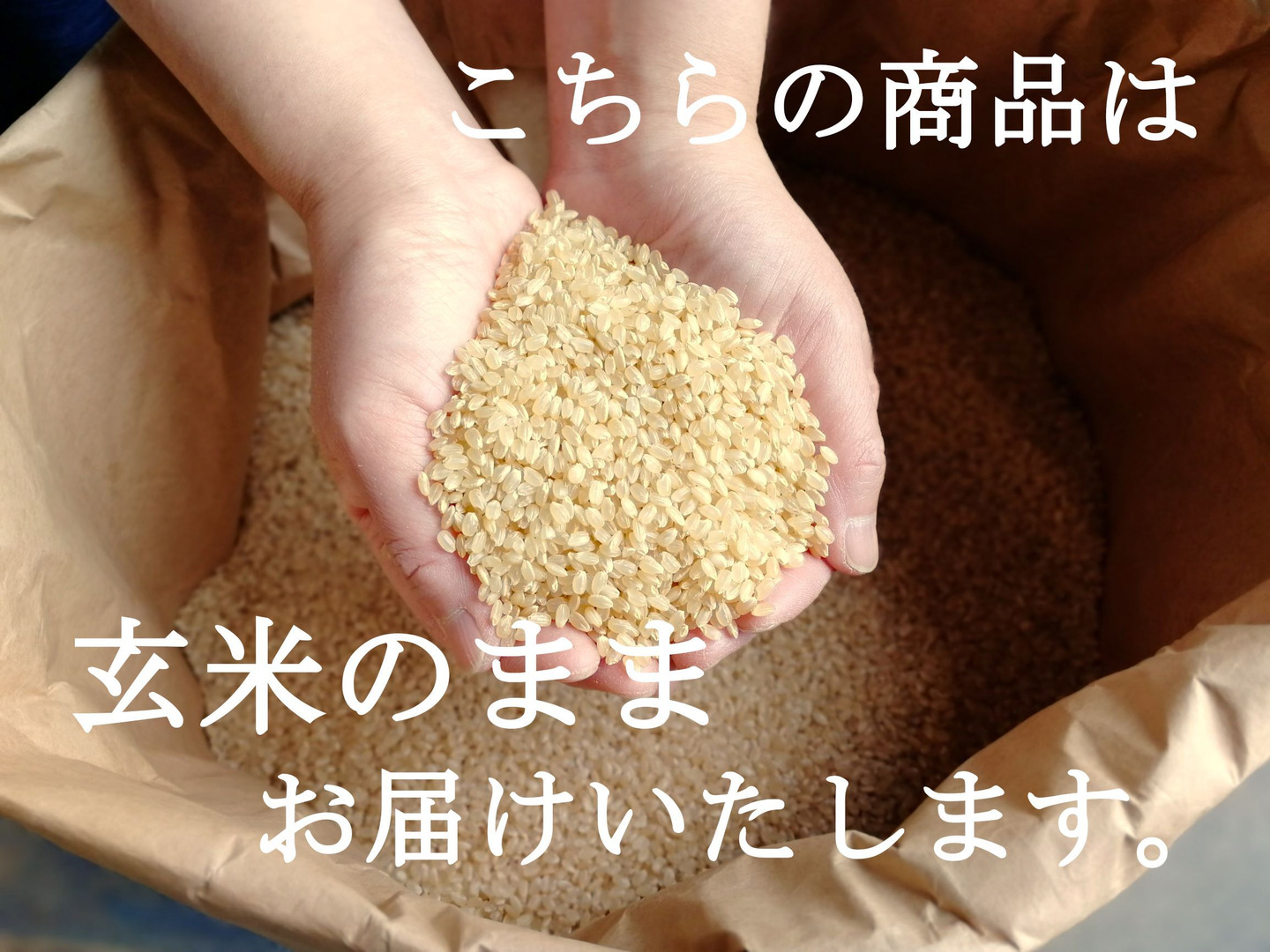 令和8年産 【玄米15㎏】特別栽培米ミルキークイーン：長野県産のお米