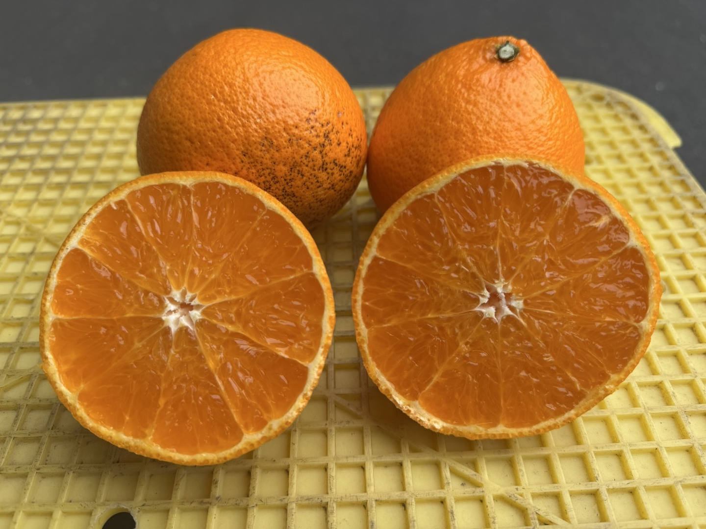 のん　紅ぷり2kg+せとか2kgぐるりん ほなが農園のぷりぷり♪プリンセス2kg（わけあり）：愛媛県産の