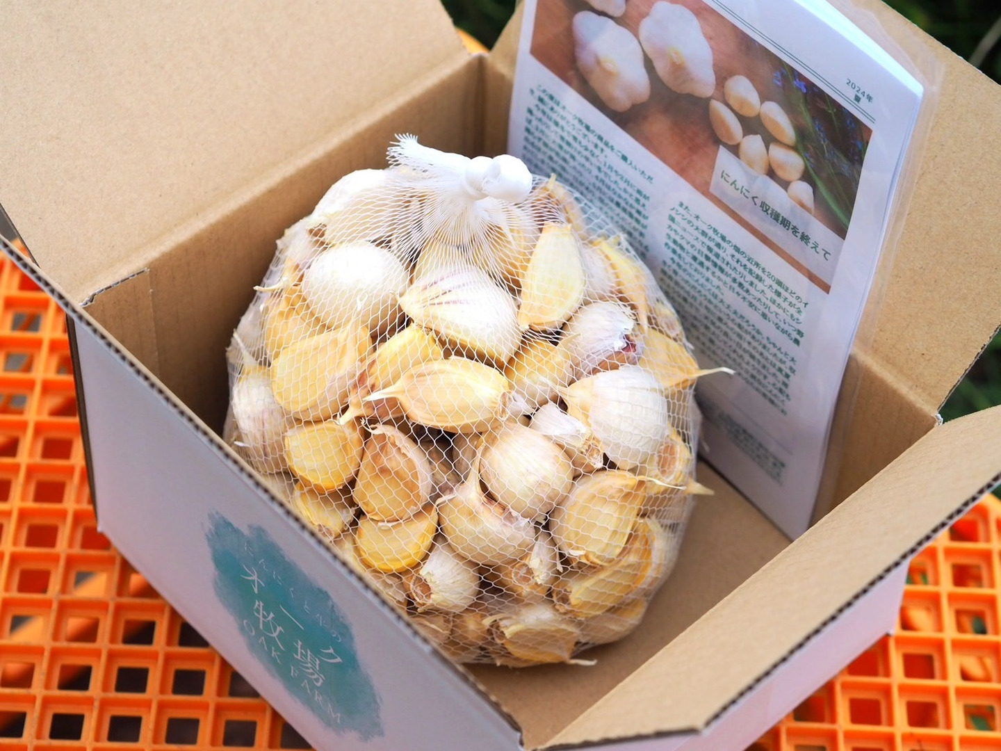 田子町産にんにく500g【バラ】【7月中旬以降お届け】：青森県産