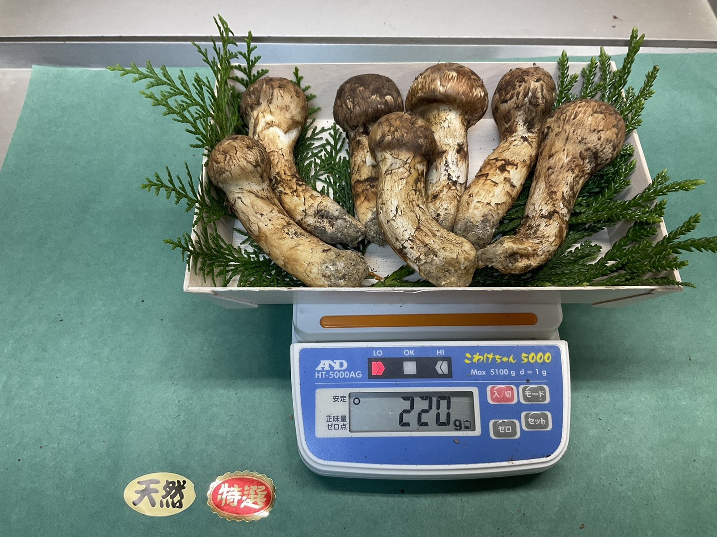 松茸　長野県　約220g 秋の味覚の王様】松茸/マツタケ/まつたけ/純国産/つぼみ/220g【特上
