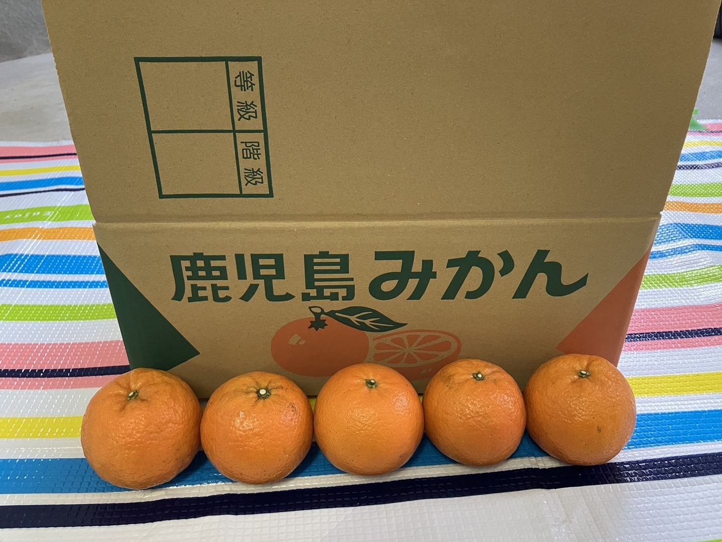 【★安心の定価販売★】 8f1fca7daf830d695572b410d6d9f0 果物