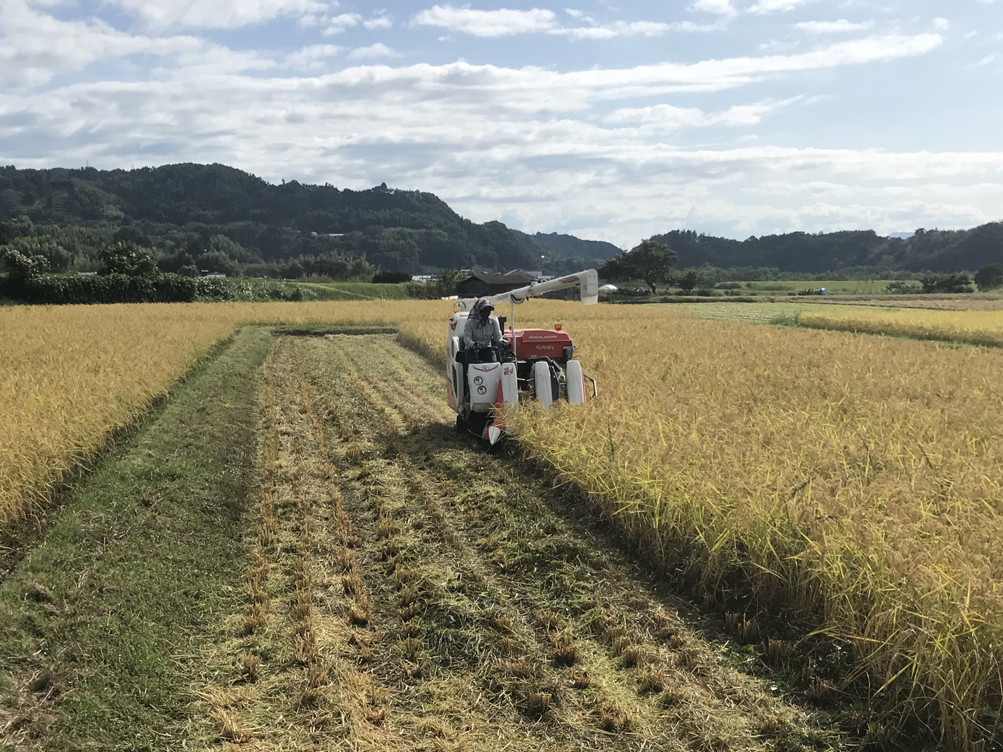 精米】にこまる（5kg） | お米の通販 「穂田琉」