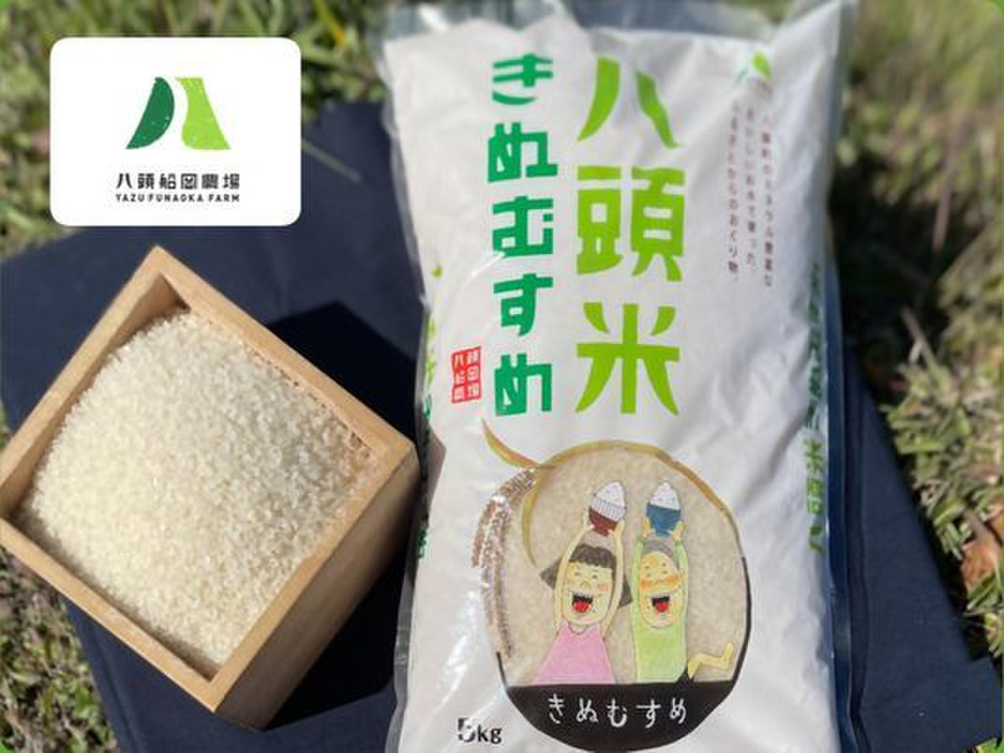 令和5年・精米・一等米】10㎏ きぬむすめ 【農薬栽培期間中不