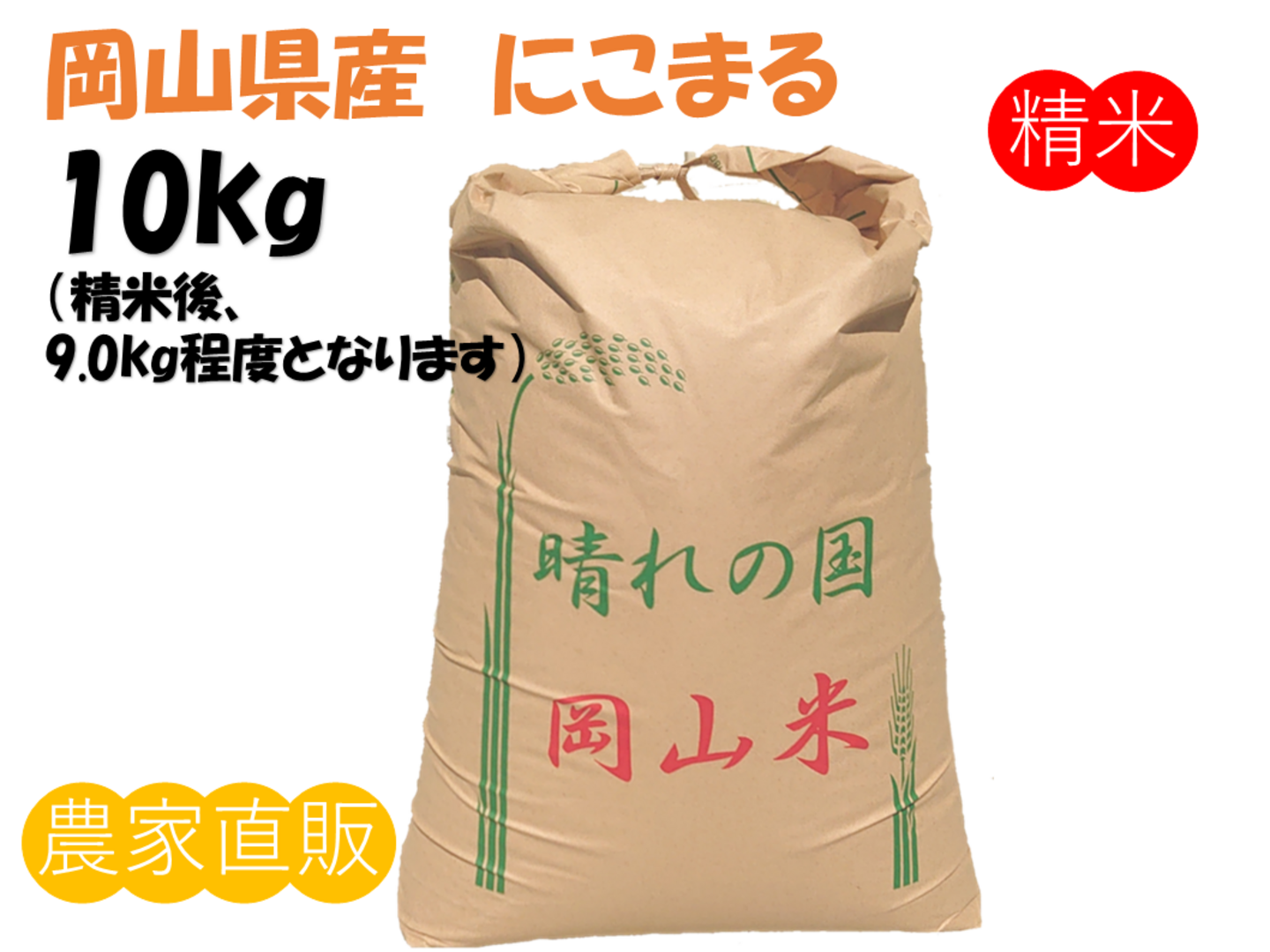 お米 無洗米 令和6年産 岡山県産 にこまる 10kg(5kg×2袋) 米