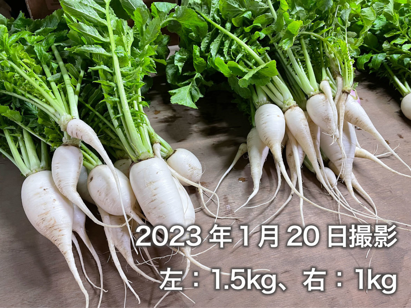 コリアグランドセール 2025 aa827c9c2a5f1f0b0263b15c3a647c 野菜