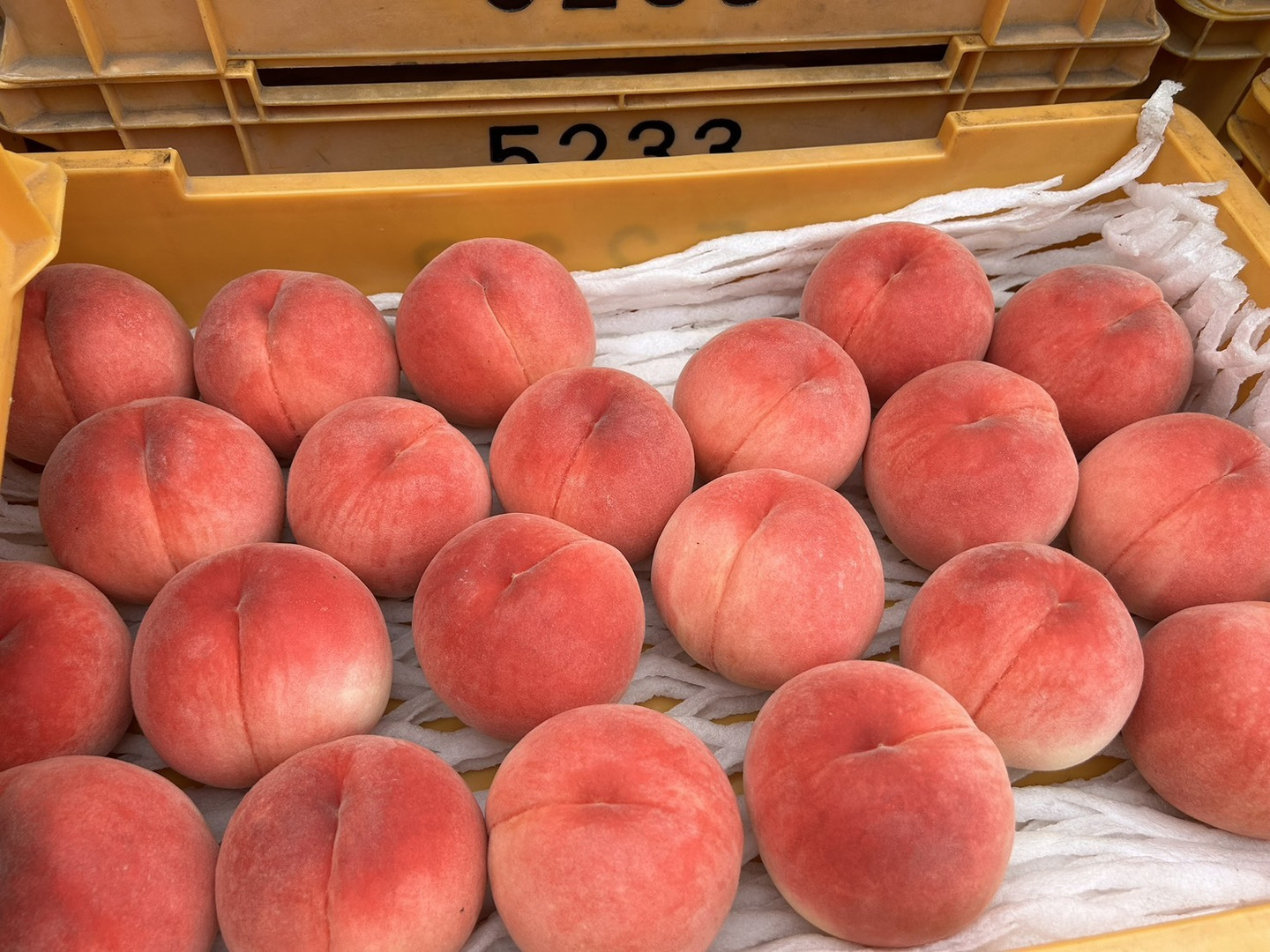 食品 nvwshfihさん専用 桃 ふくあかり ワケあり 2箱