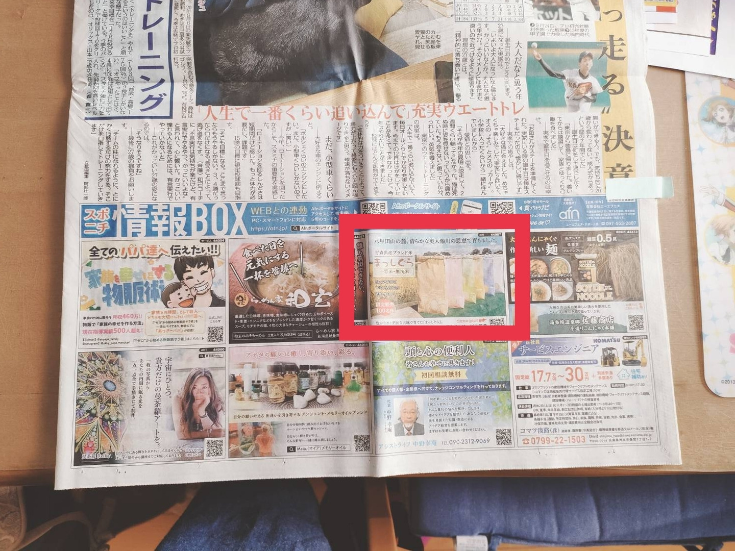 青森県産 ブランド米 令和6年度新米 まっしぐら 10kg 一等米 無 青森県産 ブランド米 令和6年度新米 まっしぐら 10kg 一等米 無