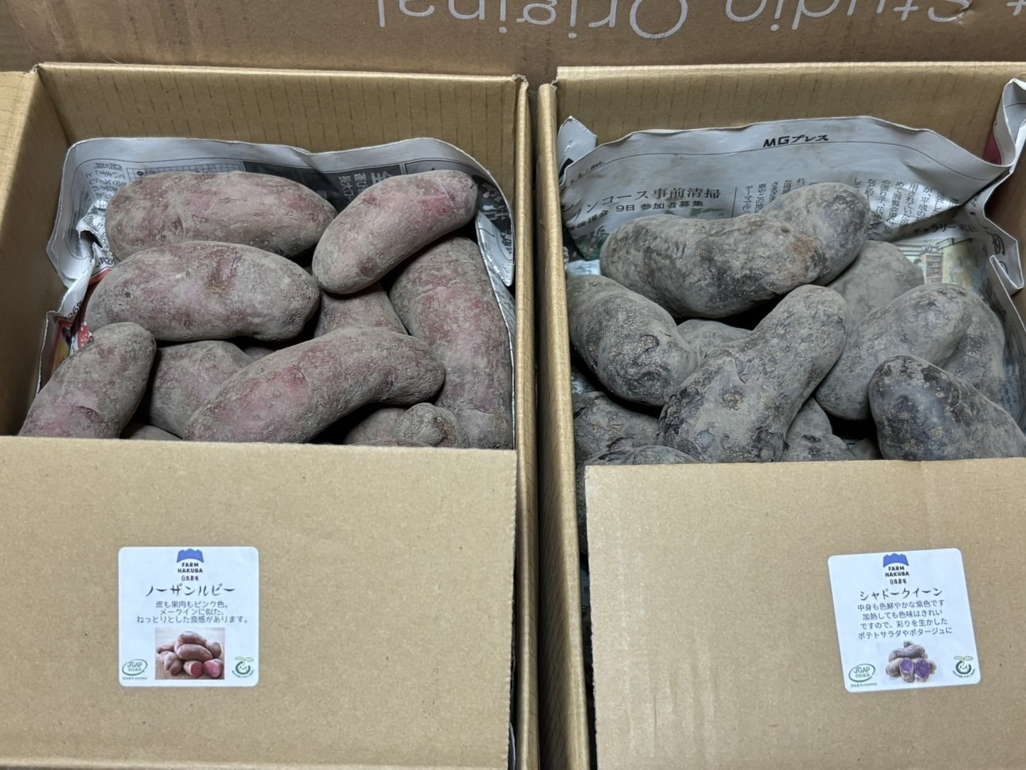 紫のじゃがいも】シャドークイーン(2kg)：長野県産のシャドークイーン