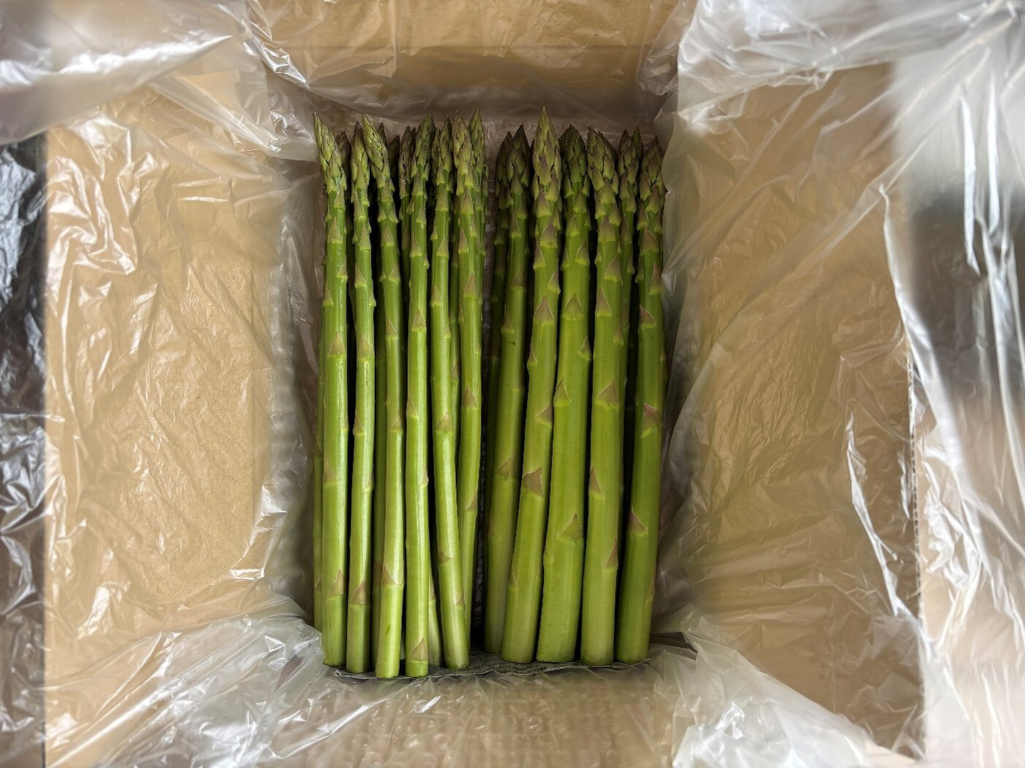 食べ比べ2kg】那須塩原産アスパラ｜M～2Lサイズ｜春のごちそう｜【夏