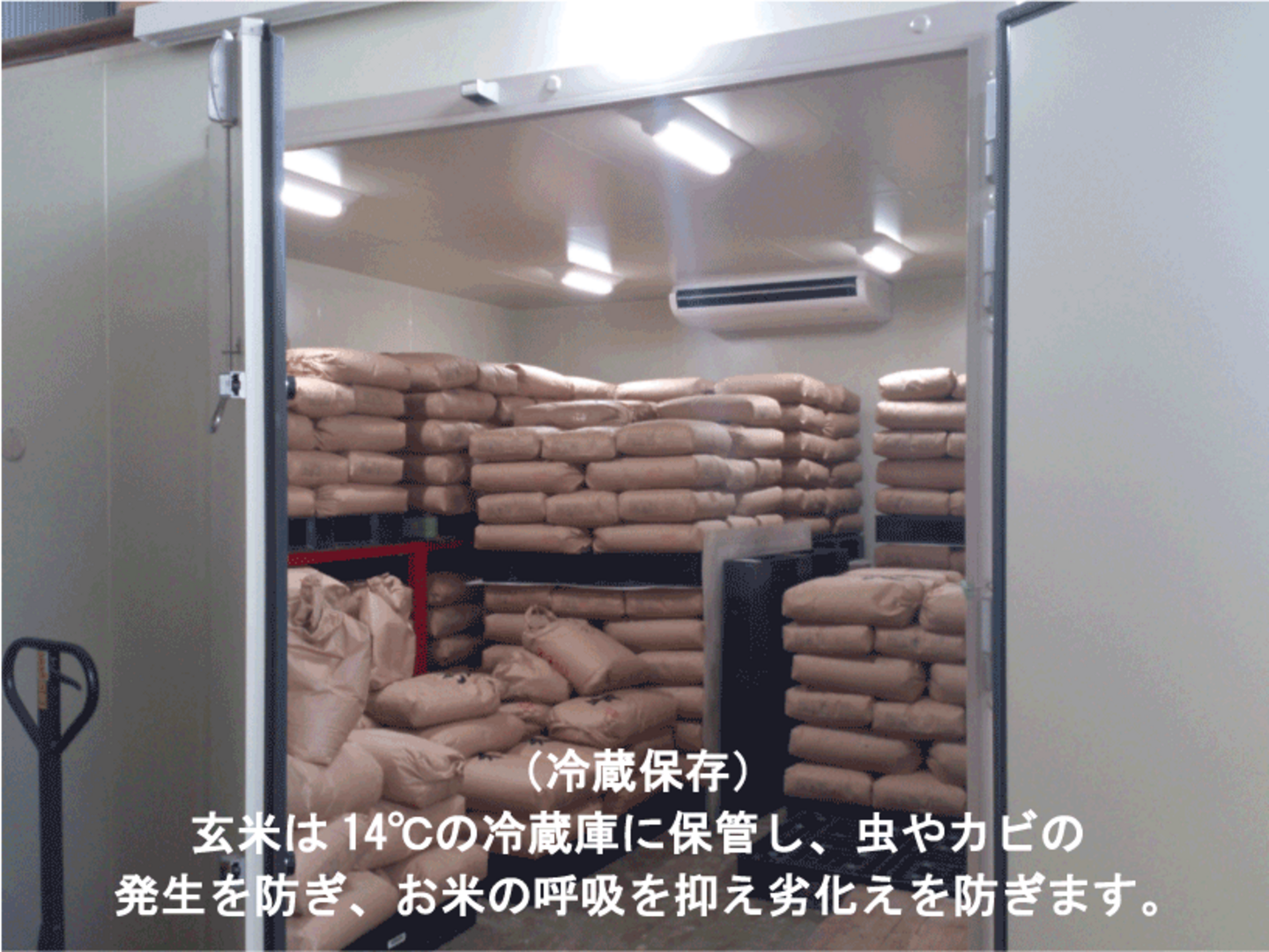 R6年産：有機JAS米（ぴかまる）5㎏、真空パック：熊本県産のお米