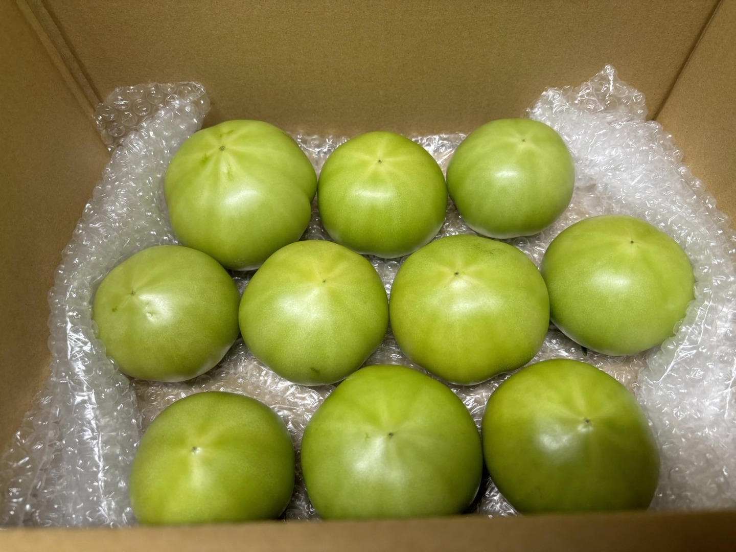 未成熟の青もぎトマト 2kg・バラ：山口県産の麗月｜食べチョク