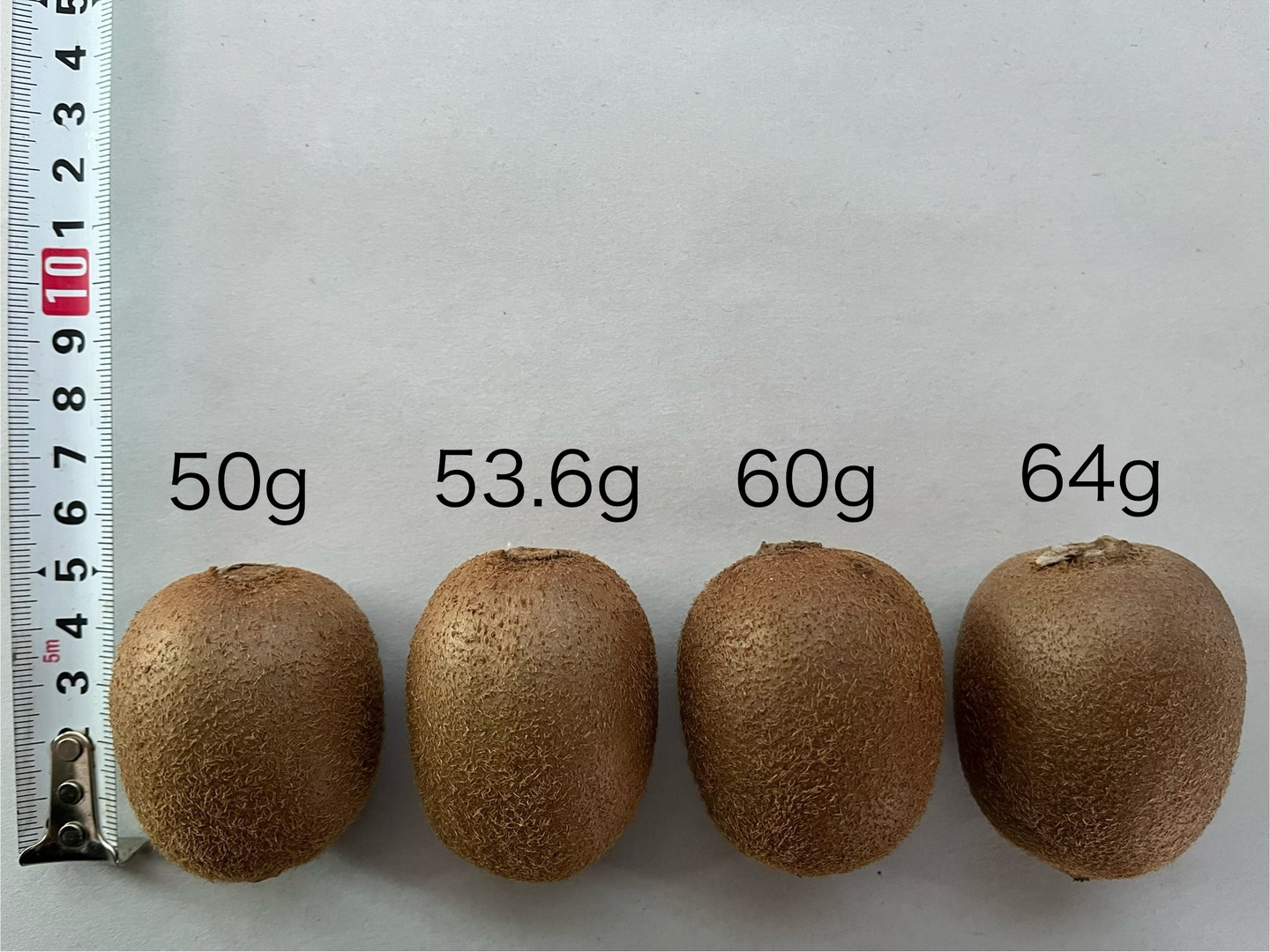 まじりっけなし！自然栽培 農薬不使用｢ミニサイズ キウイフルーツ｣１ｋｇ：神奈川県産のヘイワード｜食べチョク｜産地直送(産直)お取り寄せ通販 -  農家・漁師から旬の食材を直送