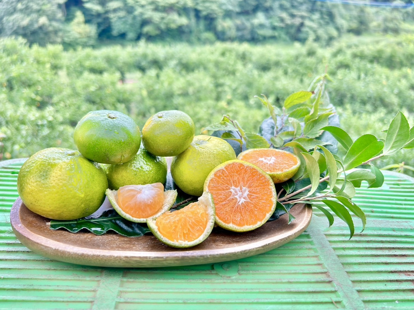 【数々のアワードを受賞】 🍊長崎県産🍊 【家庭用】：長崎県産の果物 3.5kg 極早生みかん 果物