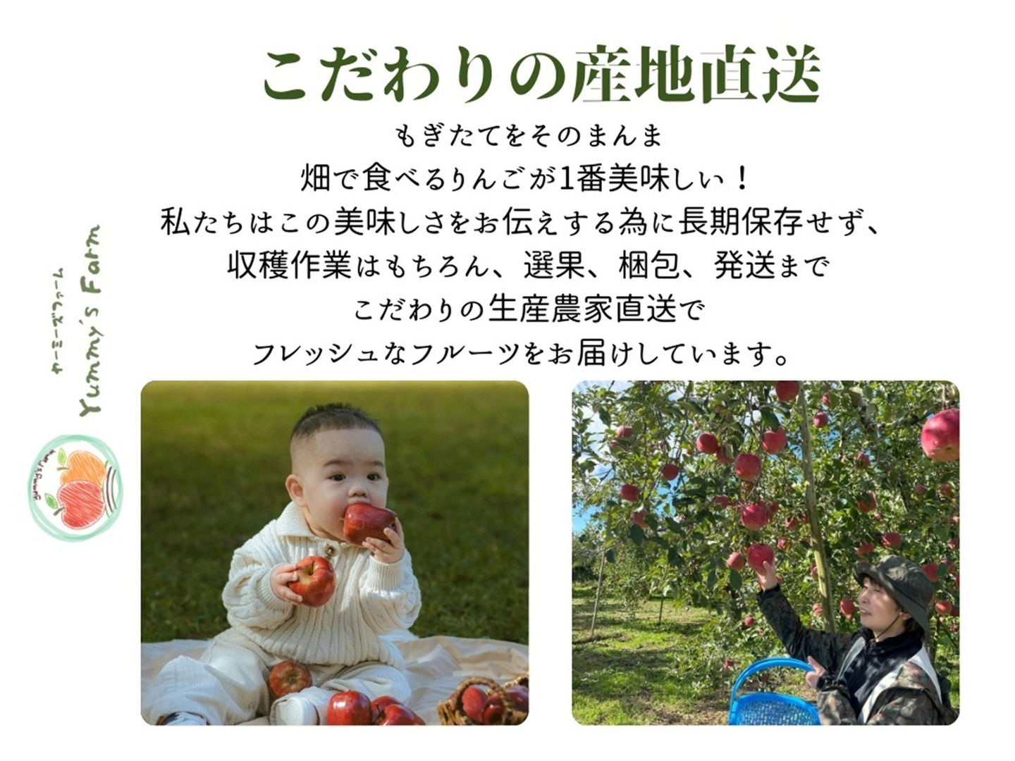 生産農家直送 早生ワッサー 訳ありご家庭用 2kg 長野県産 化学肥料不