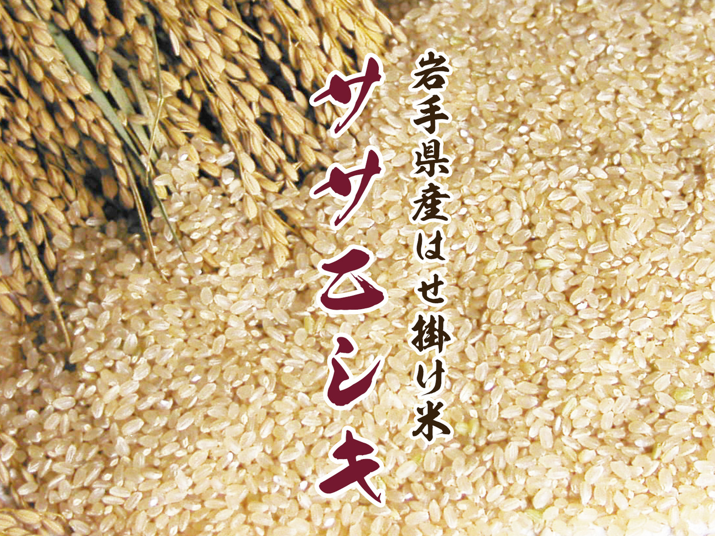 take2060 お米『岩手県産ササニシキ 30kg 玄米 限定1袋 ササニシキ 【次回入荷10月新米】新米 減農薬 有機肥料使用 30kg