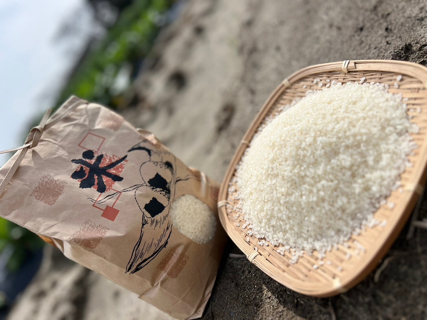 令和5年度米 静岡県浜松市産 【コシヒカリ】 10kg：静岡県産の