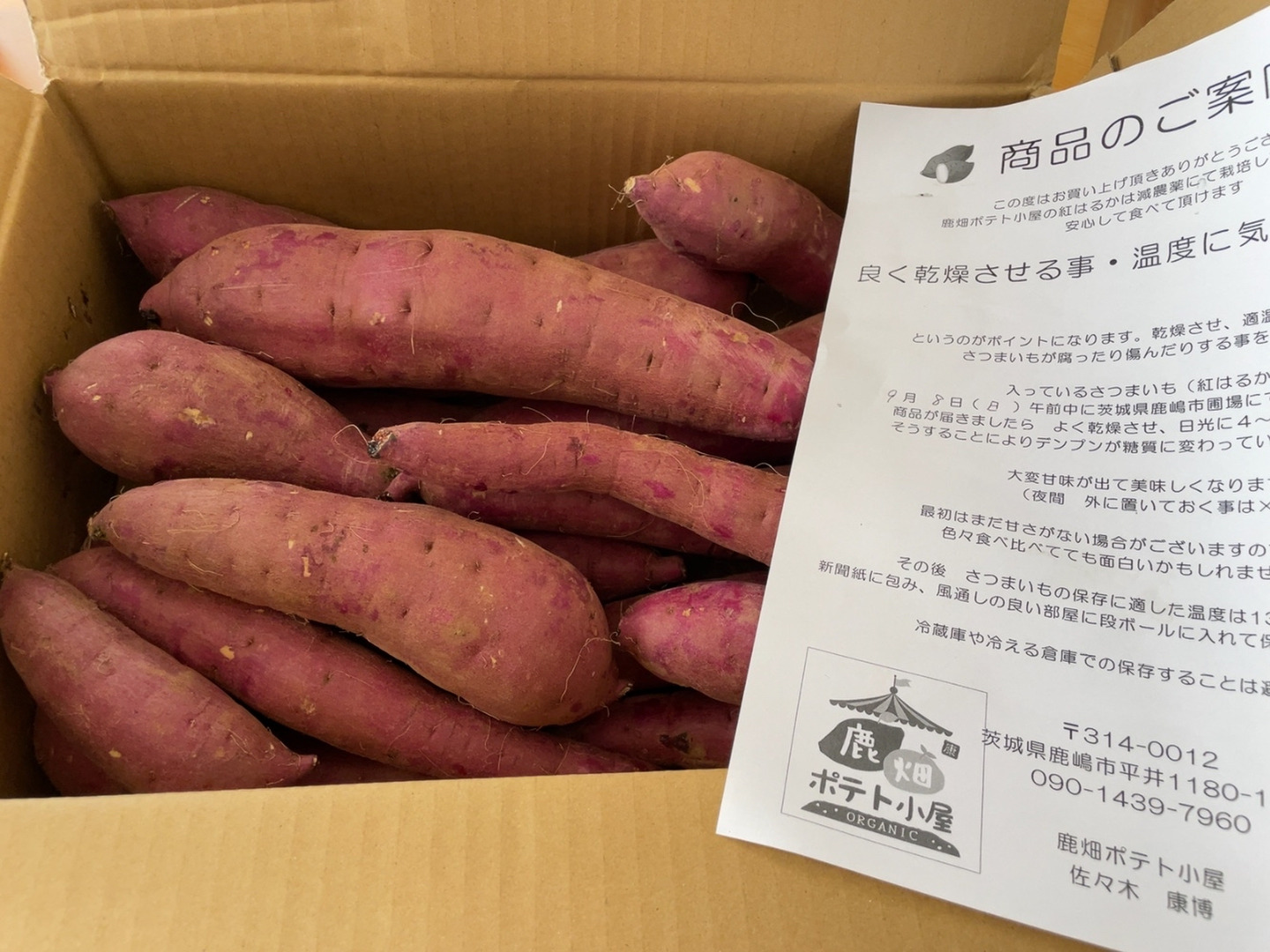 ララルルさん専用 千葉県産 べにはるか さつまいも サツマイモ 約20㎏｜野菜