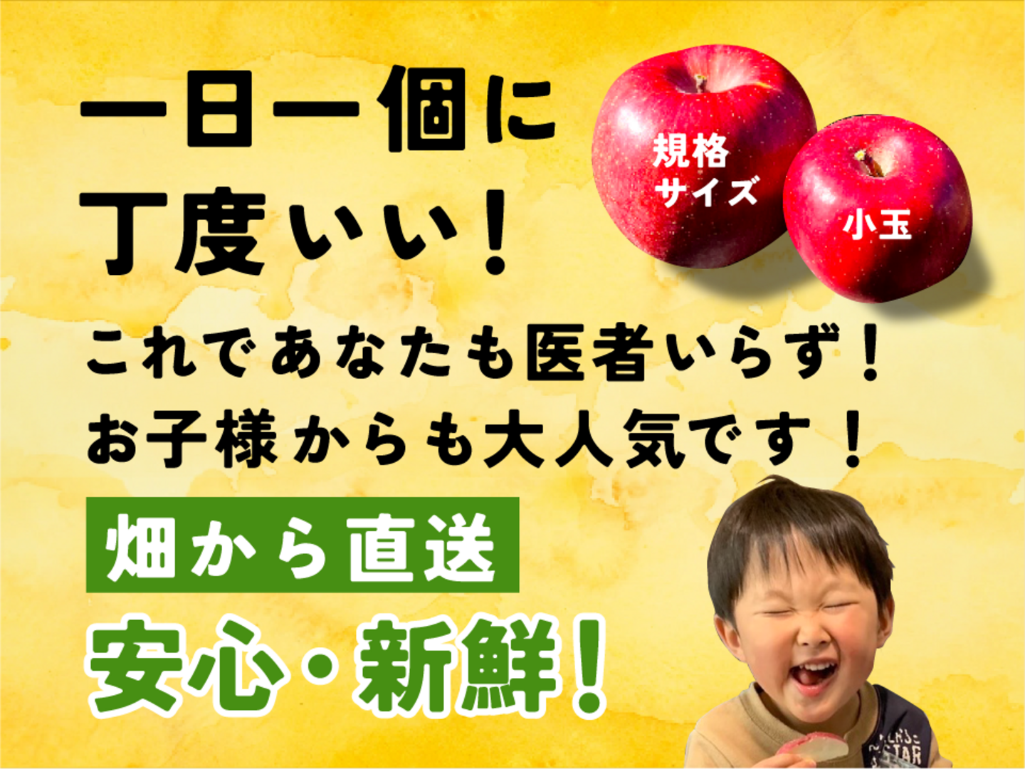 会員様限定 お買い得商品 女性に大人気2】サンふじ 食べきりサイズ20〜33玉 5キロ箱小玉 果物