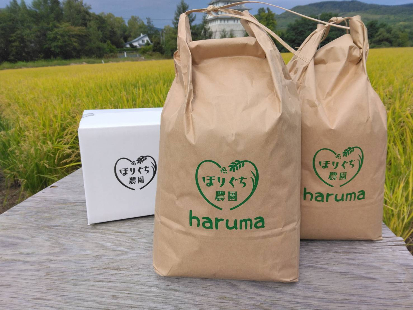 令和6年産 【白米】ツヤツヤもちもち 北海道ゆめぴりか 10kg