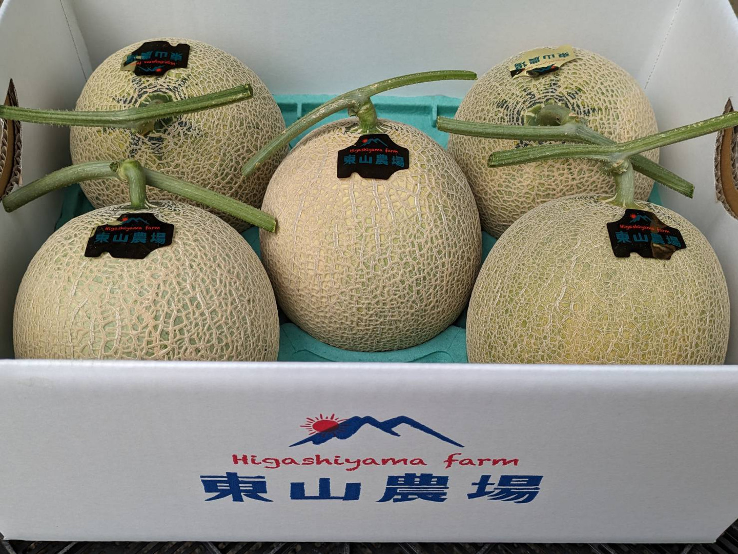 数量限定SALE たっぷり8kg！北海道夕張郡産キングメロン：北海道産のその他 フルーツ