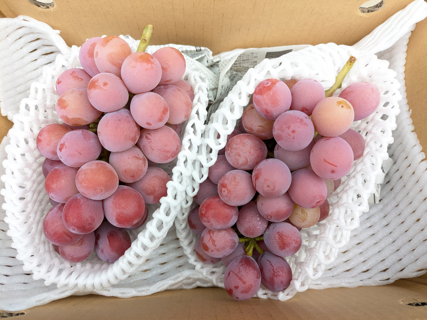 よろしくお願いします　クイーンニーナ約4.5kg 🏆食べチョクぶどうグランプリ2025金賞🏆🍇【山梨県笛吹市産