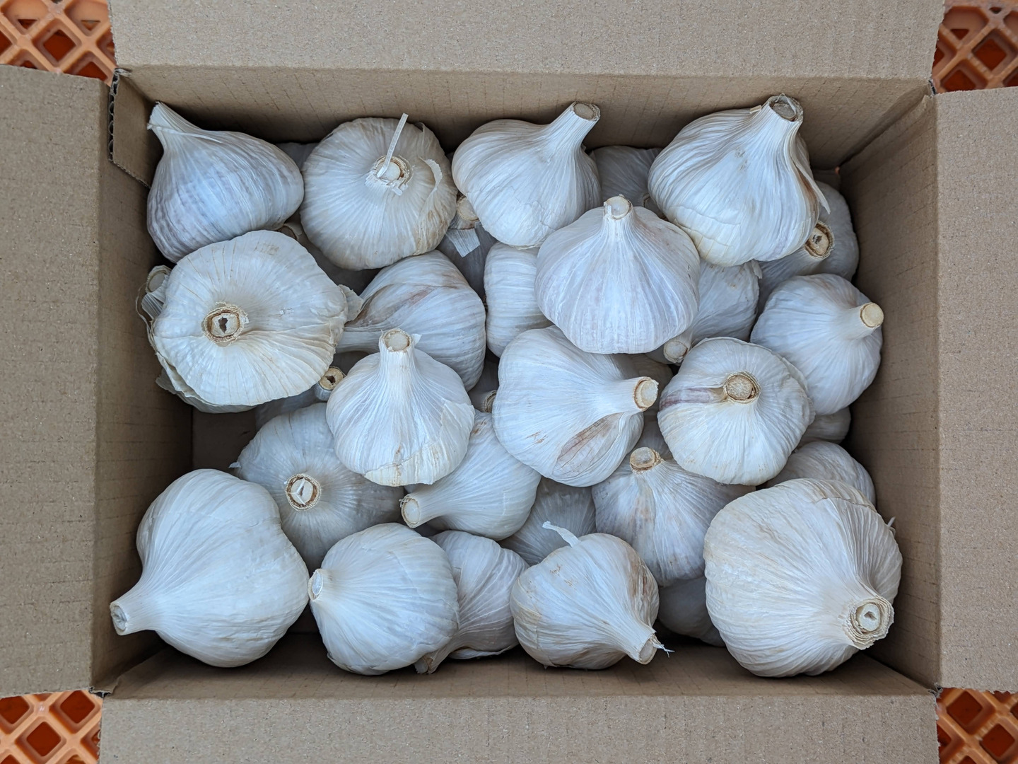 2Lサイズ以上・5kg｜農家直送・風干しにんにく（半乾燥・土付き・香川県産） 2Lサイズ以上・5kg｜農家直送・風干しにんにく（半乾燥・土付き