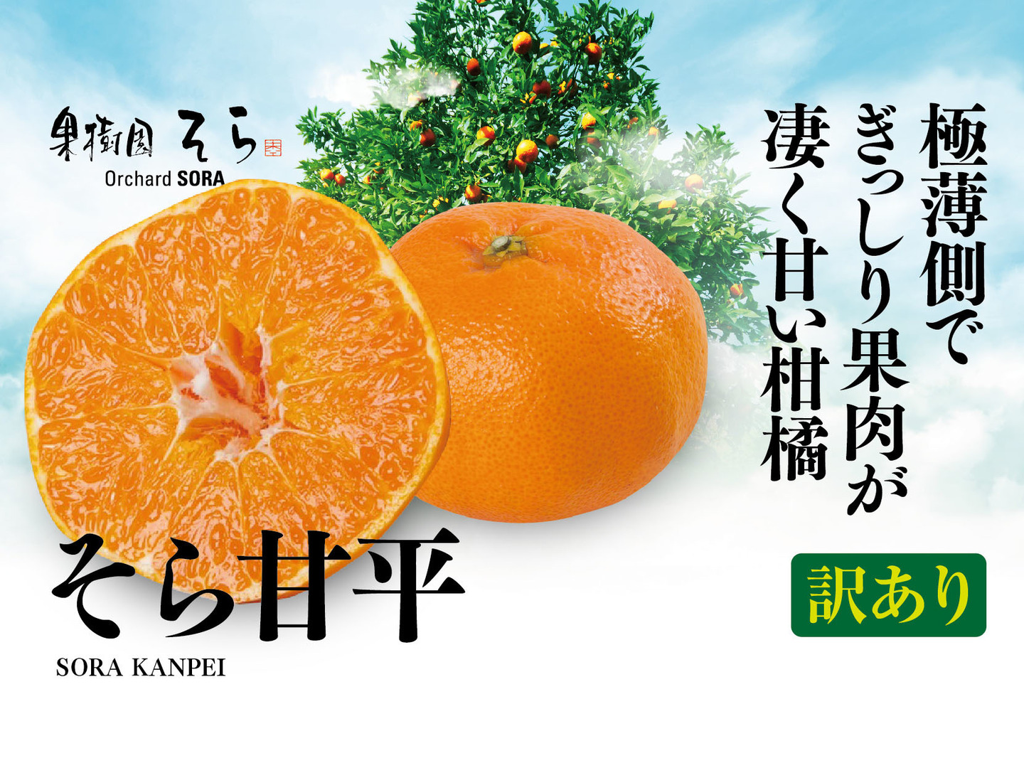 華麗 訳あり】そら甘平 天空の果樹園 愛媛産みかん 3kg：愛媛県産の 果物