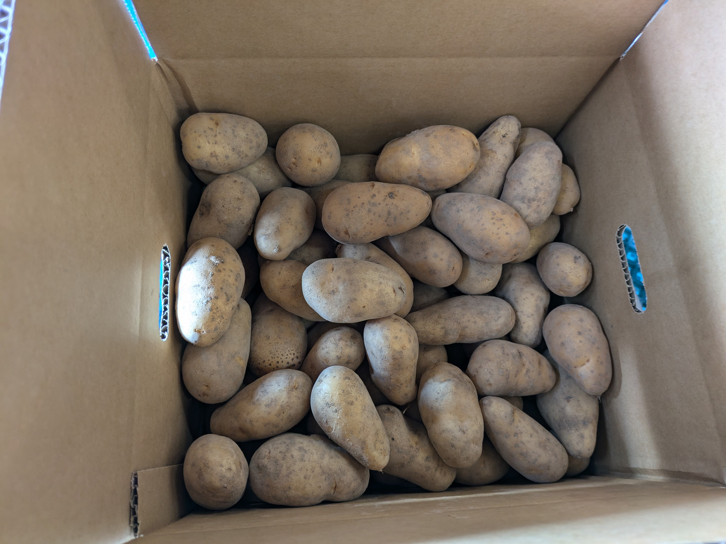 北海道産新じゃが メークインSサイズ 18kg：北海道産の