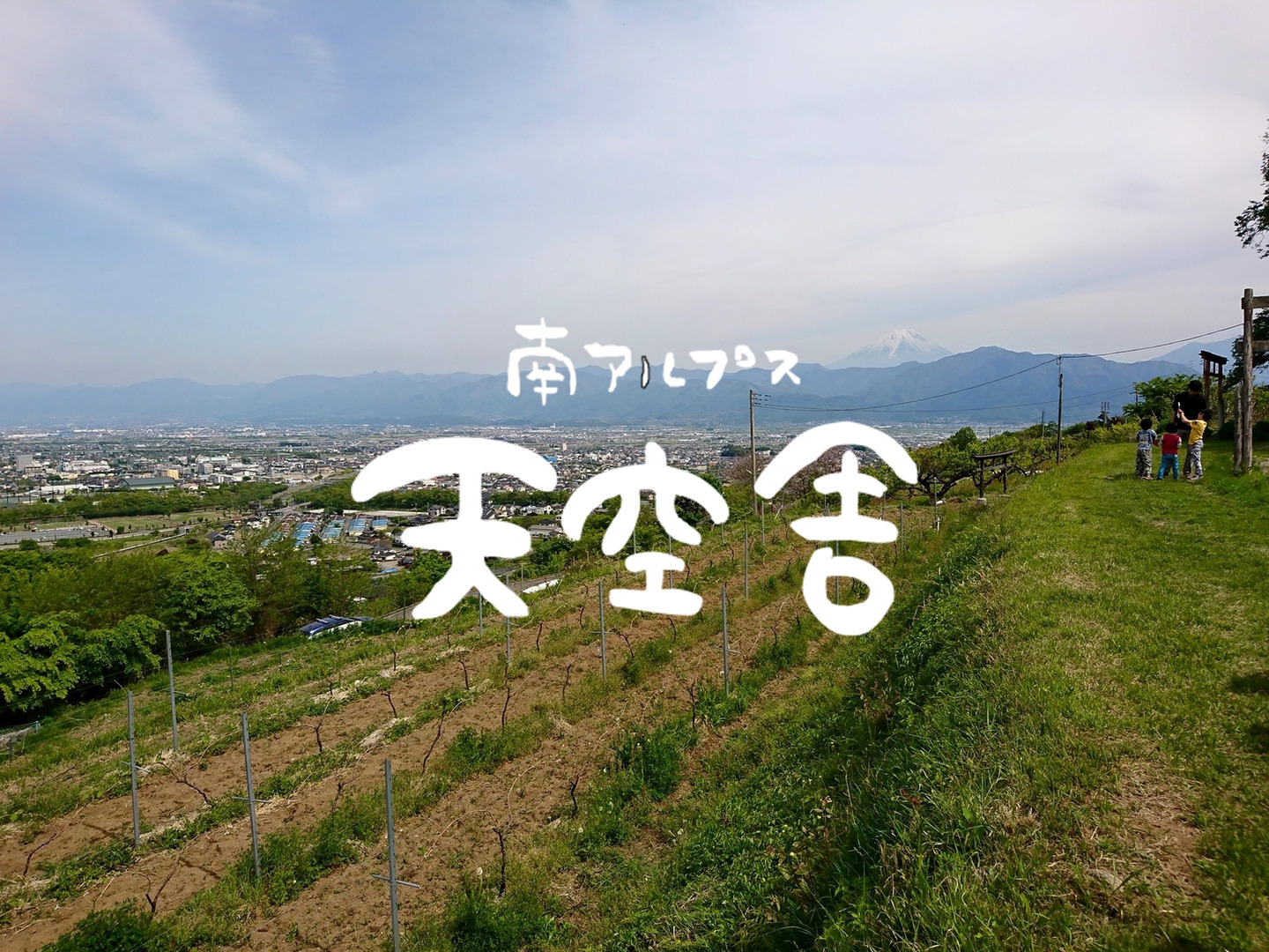 ⑦若桃 硬い桃 山梨県産 箱込み7.5kg 1ef101957755adac3145f8af7739ad