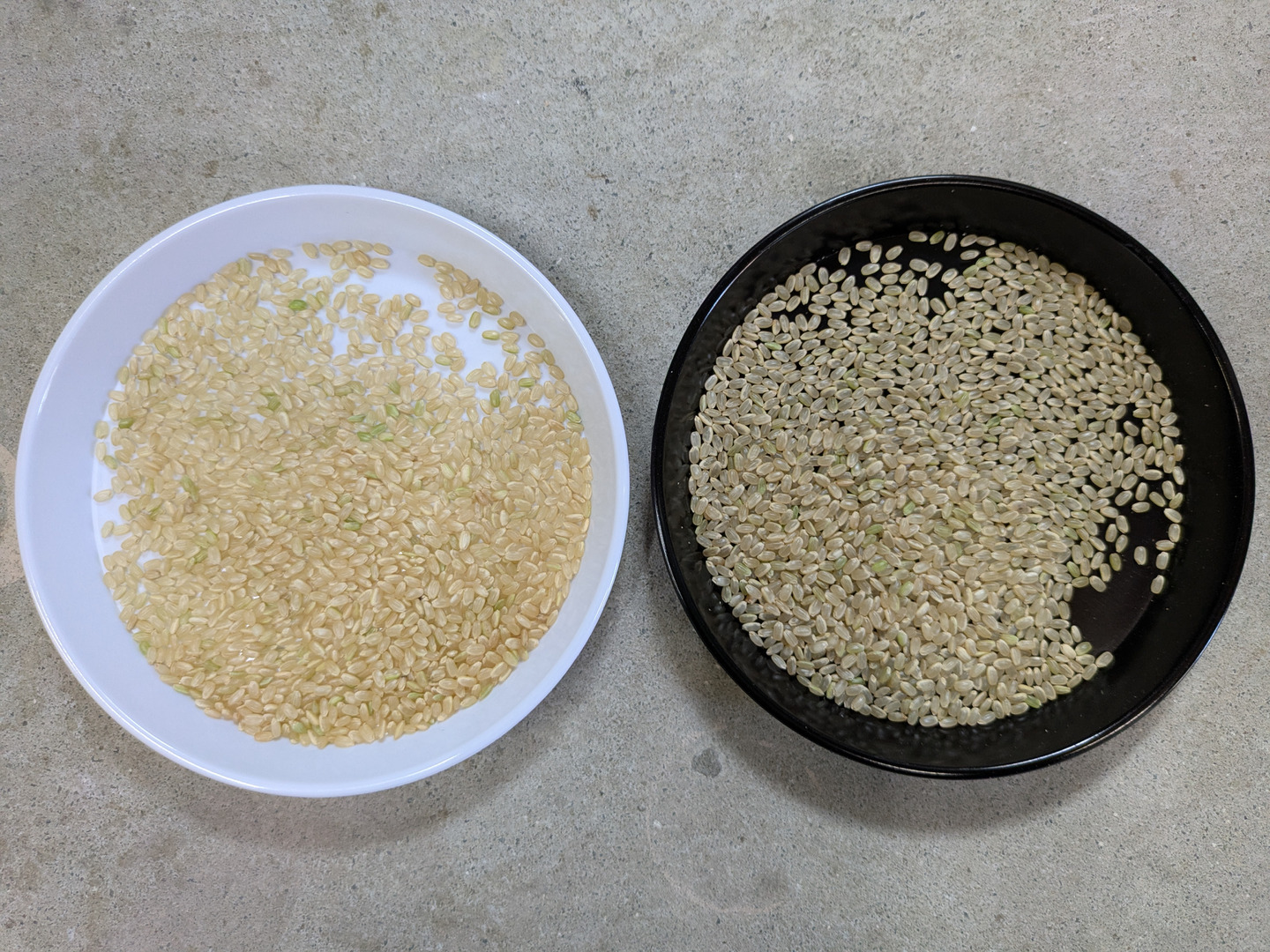 令和6年産　奈良県産 ヒノヒカリ　玄米　約10kg ヒノヒカリ 新米7年産 ひのひかり 奈良県産 玄米10Kg 白米・7分