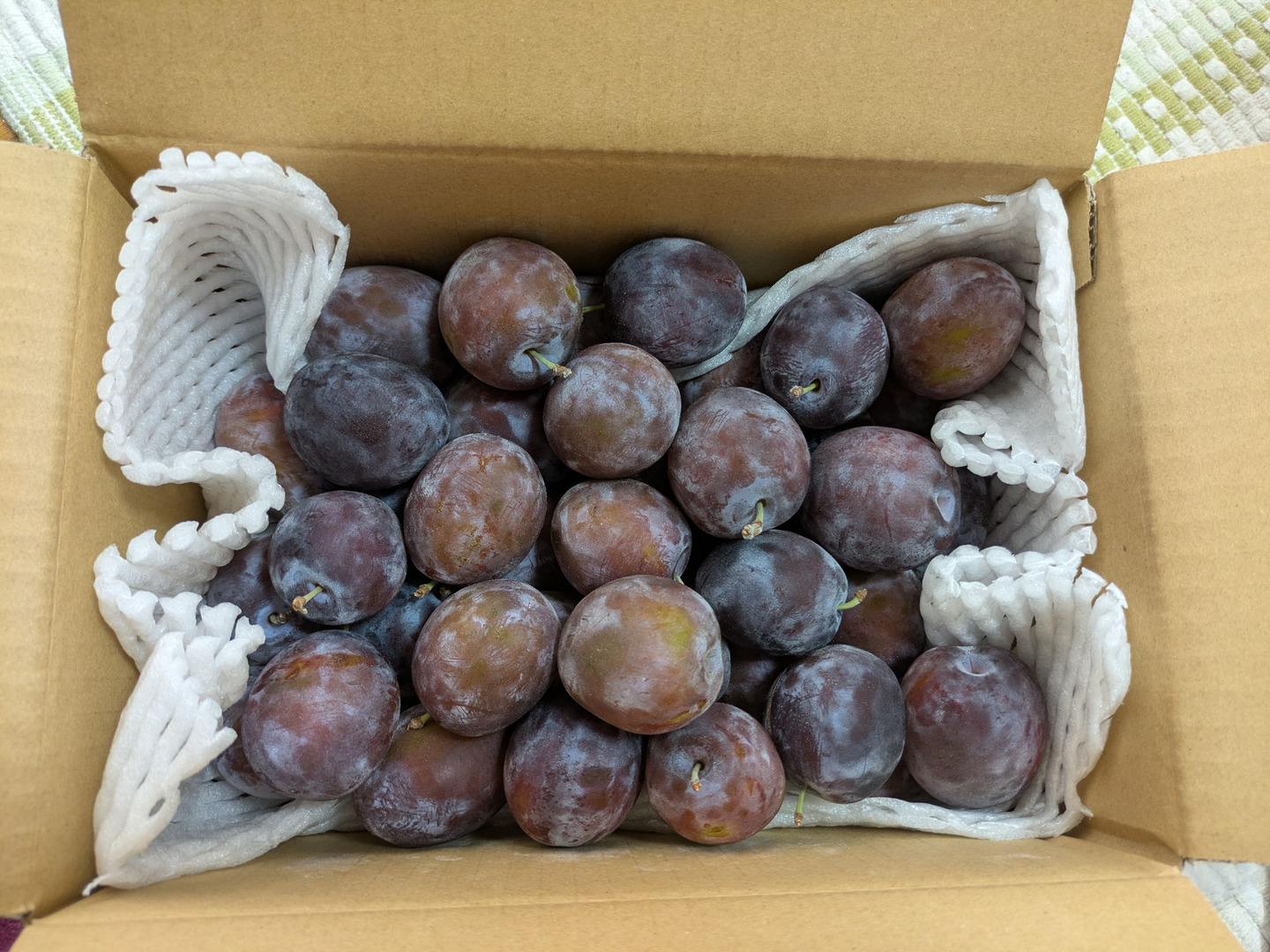 生プルーン 2キロ：長野県産のくらしま｜食べチョク｜産地直送(産直)お
