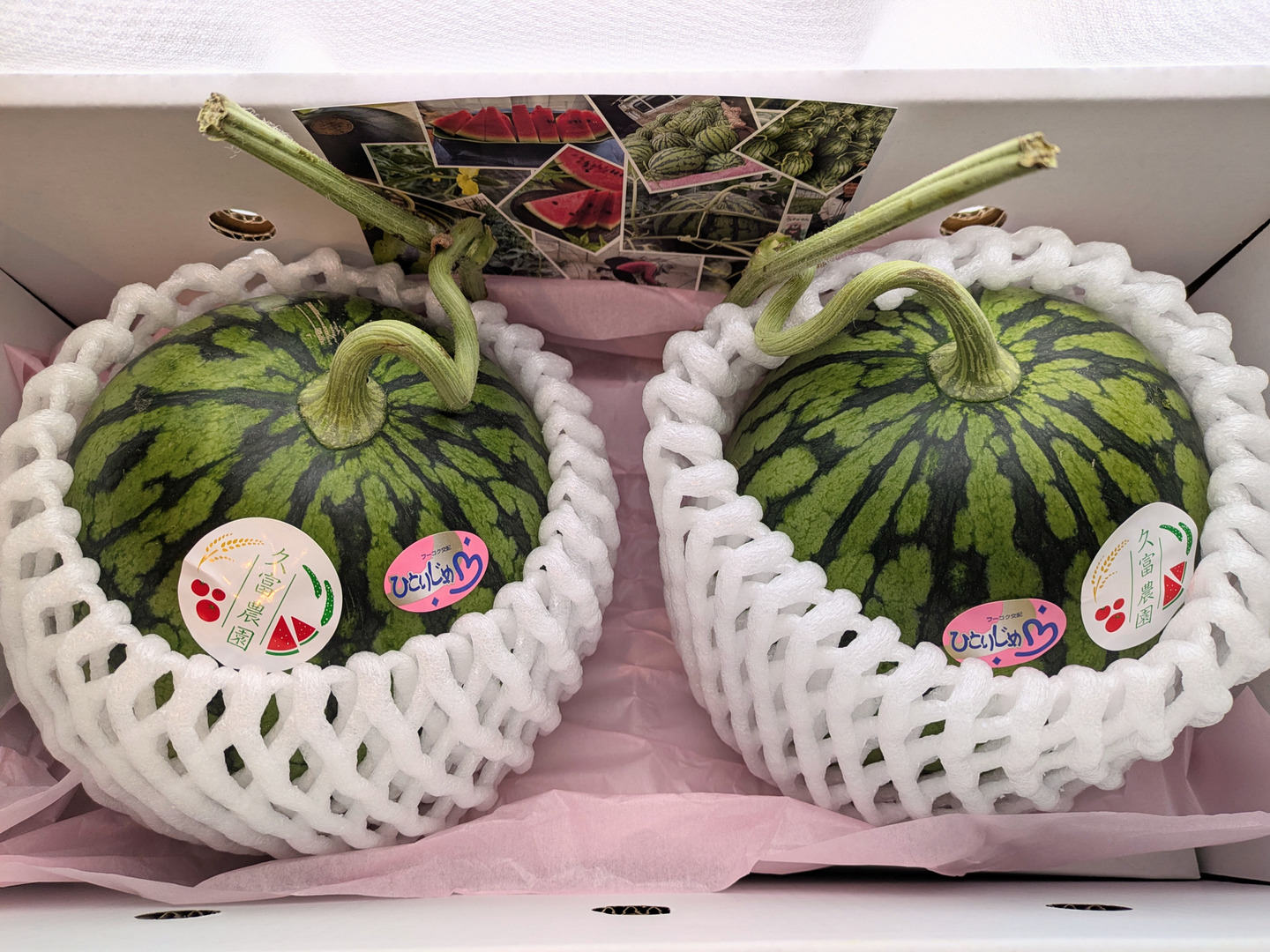 金の土】熊本県植木産スイカ！！小玉スイカ2個入(ひとりじめ）3L
