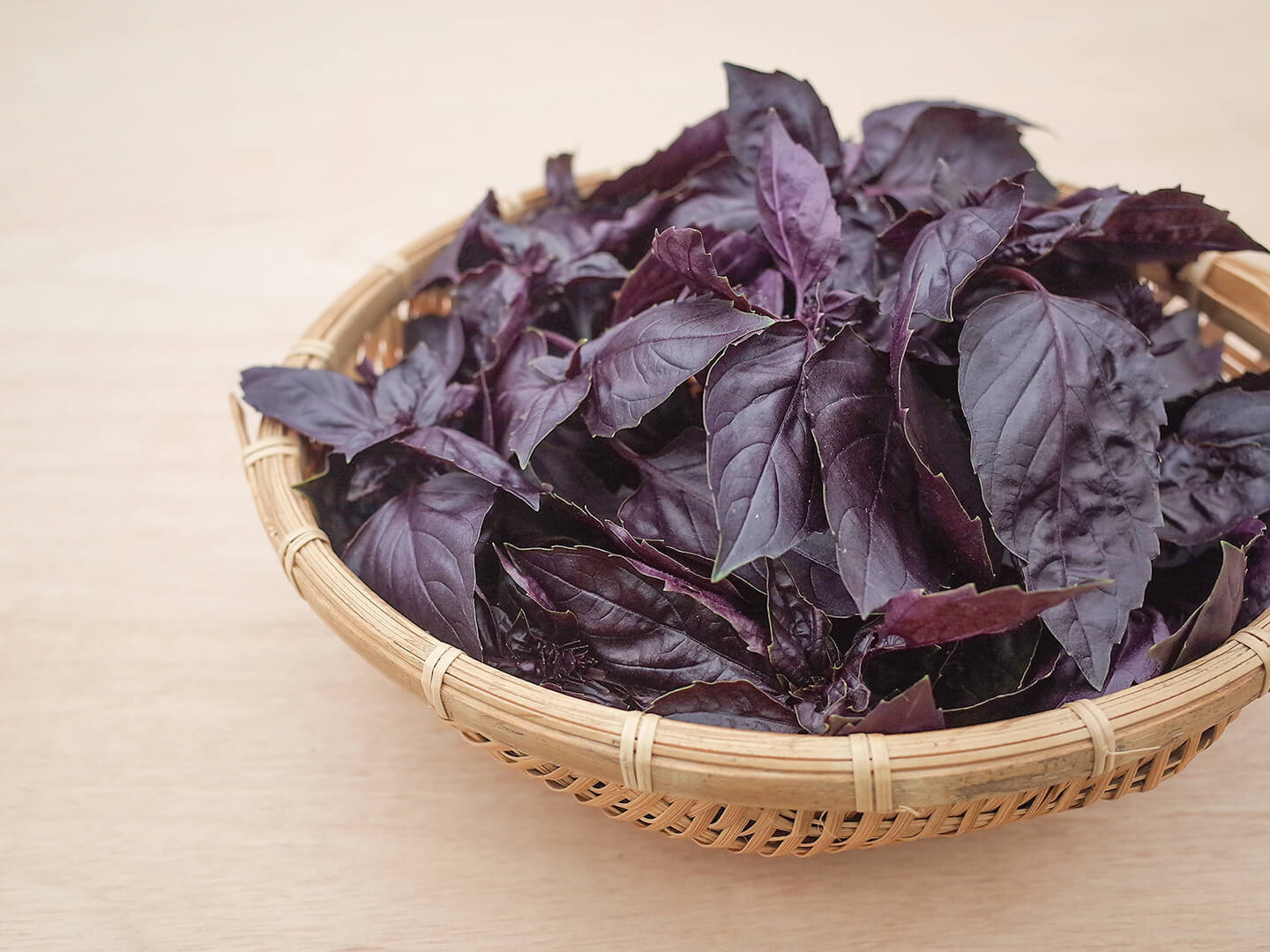 採れたて！新鮮ダークオパールバジル 100g 【農薬化学肥料不使用