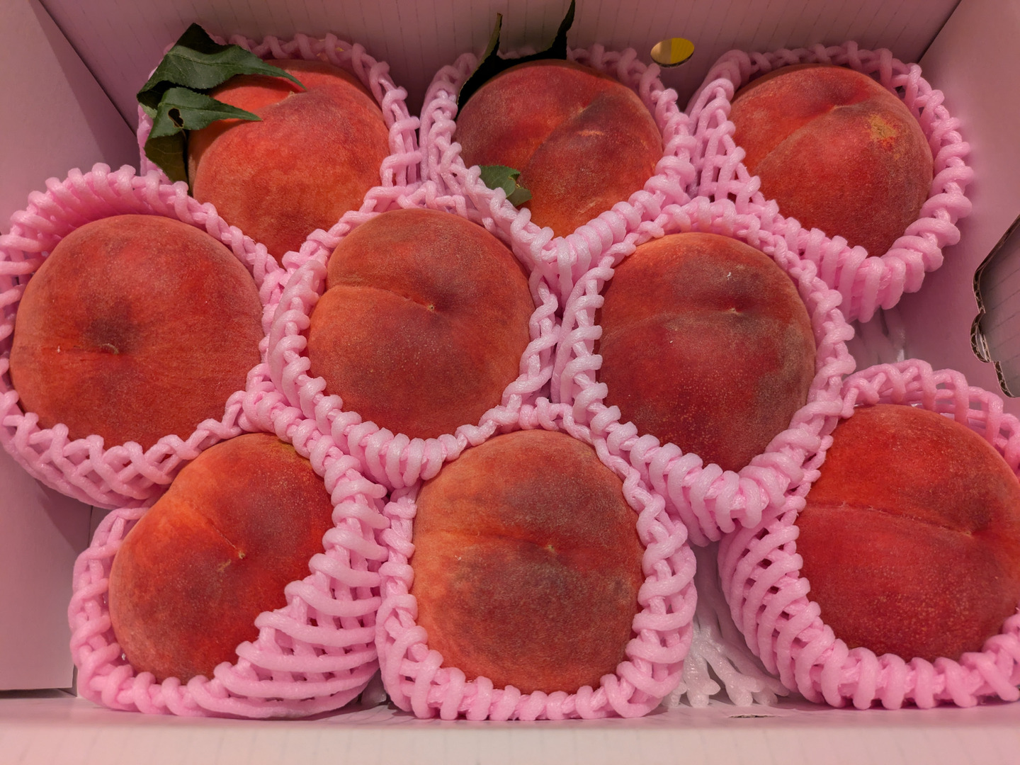 はつひめ 桃 摘果桃10kg 特秀品】はつひめ（福島の早生桃） | 【公式】JAふくしま未来の