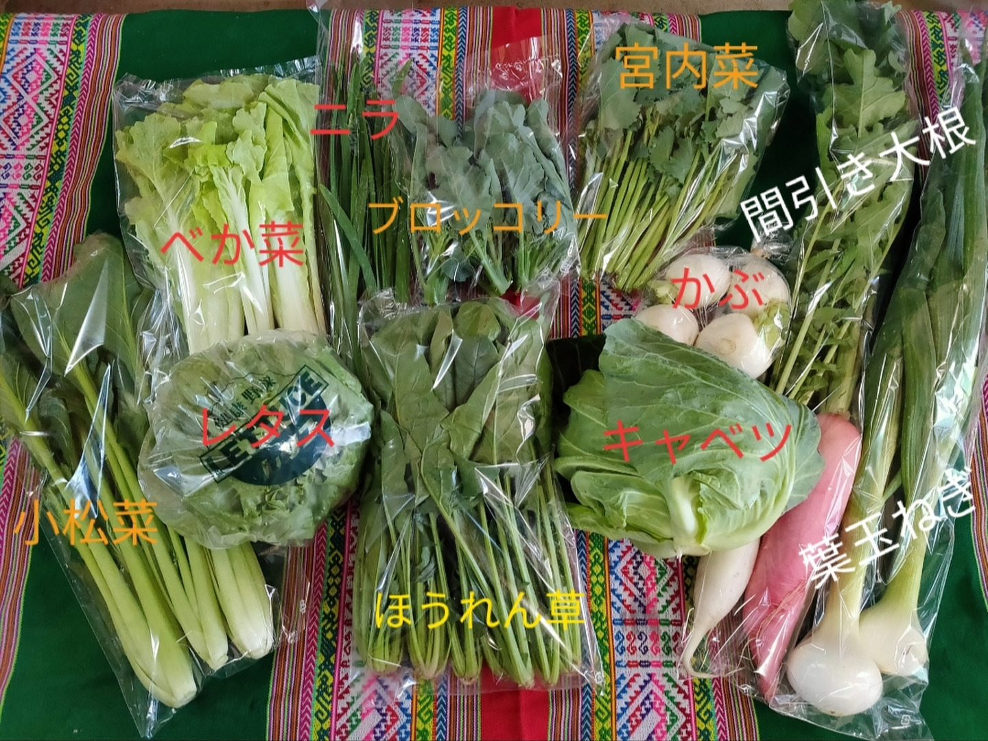 AKEさまお野菜セット お楽しみ☆農園自慢の情熱野菜セット 7袋 発送タイミング