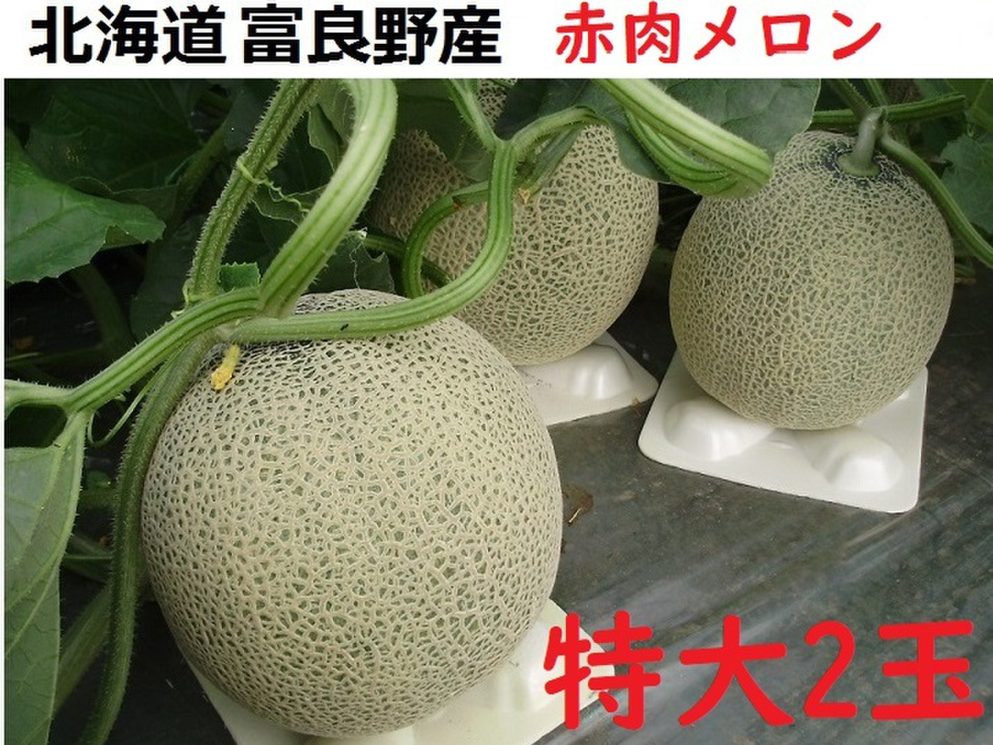 北海道 富良野メロン赤肉大玉2.2kg超✖︎2玉✖︎4箱有機肥料超減農薬限定(11) 北海道富良野産】 赤肉メロン 特大2玉 ラベンダ付：北海道産の