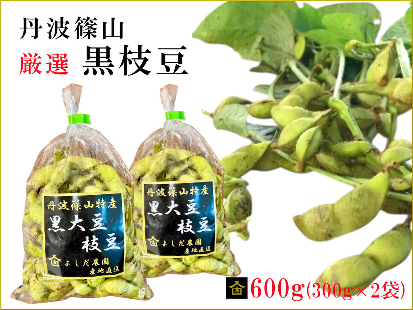 丹波篠山黒枝豆 予約】丹波篠山黒枝豆（200g×5袋） 【10月中旬～下旬出荷