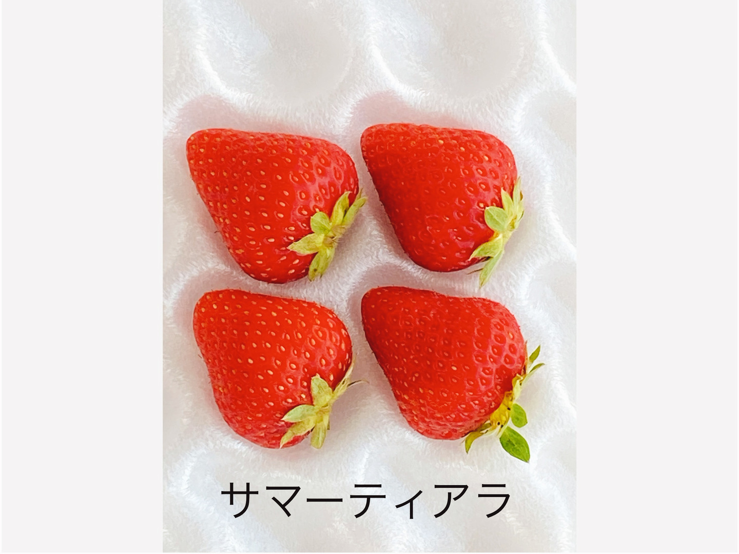 商品画像：捨てられるイチゴ」で地球を救う！ストロベリーネクターを通して 1
