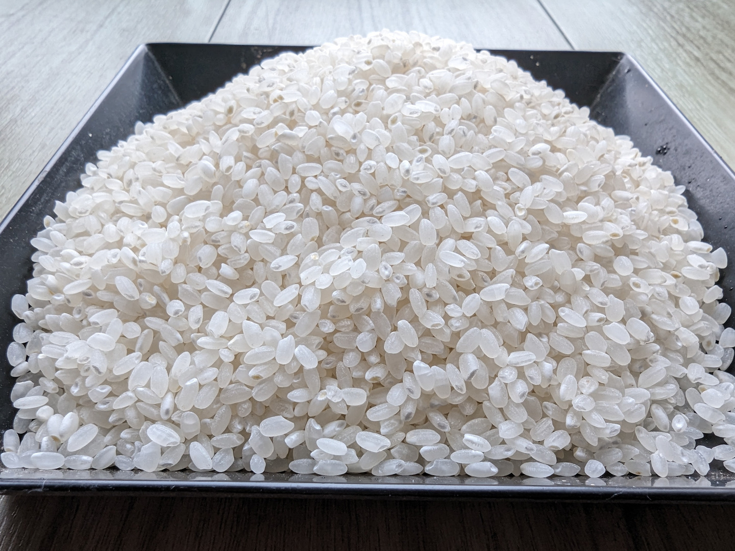 令和6年産 新米 まっしぐら 白米 4.5kg （30合）：青森県産のお
