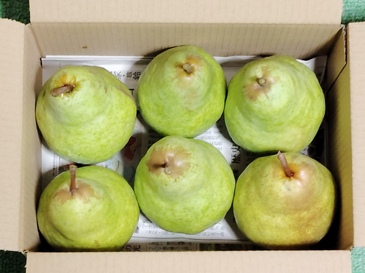 農薬節約栽培】洋梨（バートレット）約1.7kg 1箱6～8玉 早収穫
