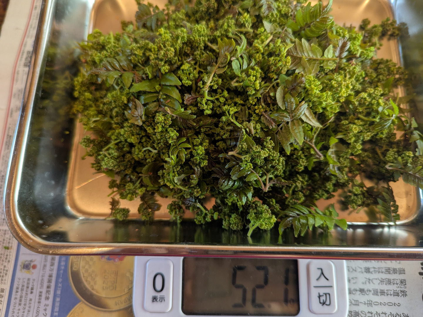 シーズン最終日】 雅な香り花山椒 50g：埼玉県産の花山椒｜食べ