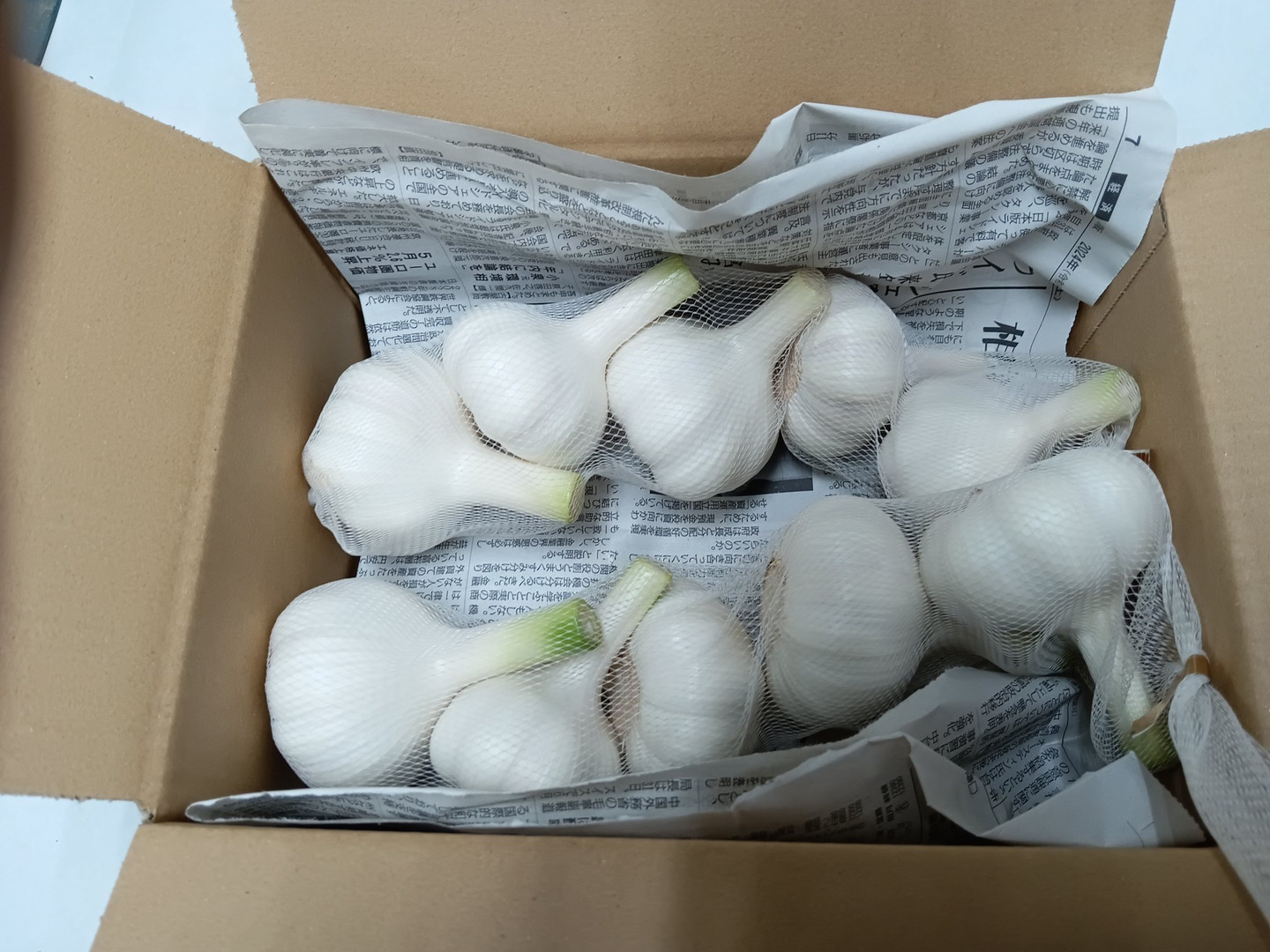 千葉県産　新鮮　新にんにく 千葉県産 新鮮 新にんにく