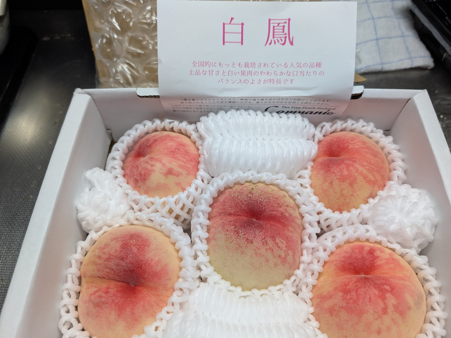 ☆朗報☆岡山県産ヤマモモ本日収穫6月２０日中粒２キロ プレゼント小粒300グラム 家庭用】夏を先取り！6月下旬～7月中旬の岡山の桃 小箱4～6