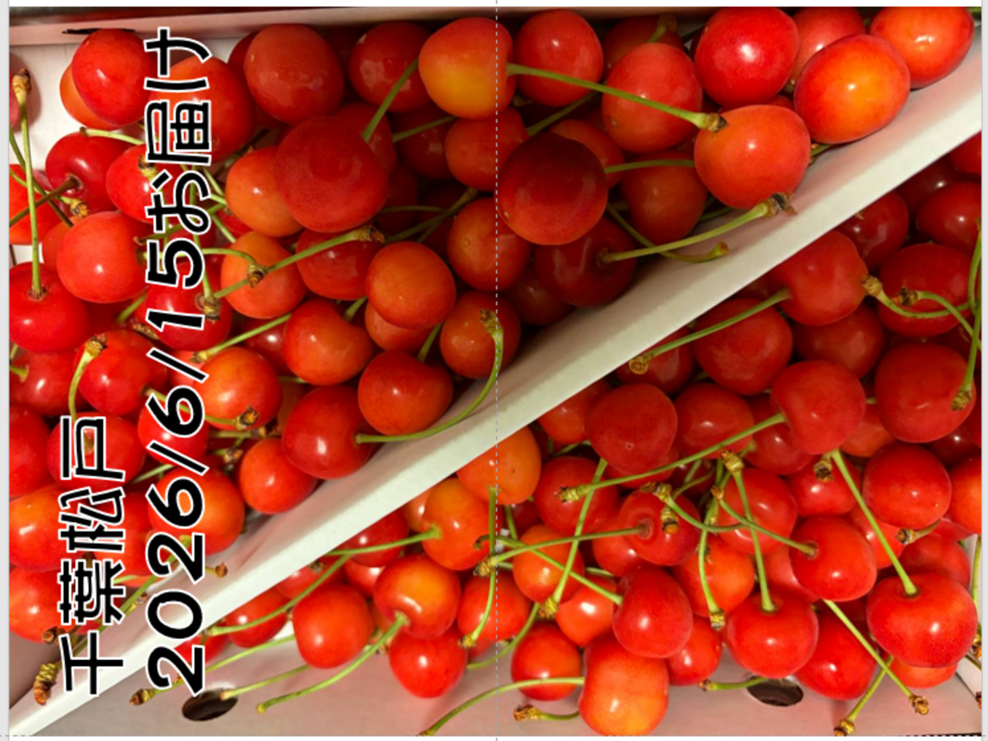 夏ギフト】【朝どれ】さくらんぼ（紅秀峰）秀 2L以上 500g×2パック