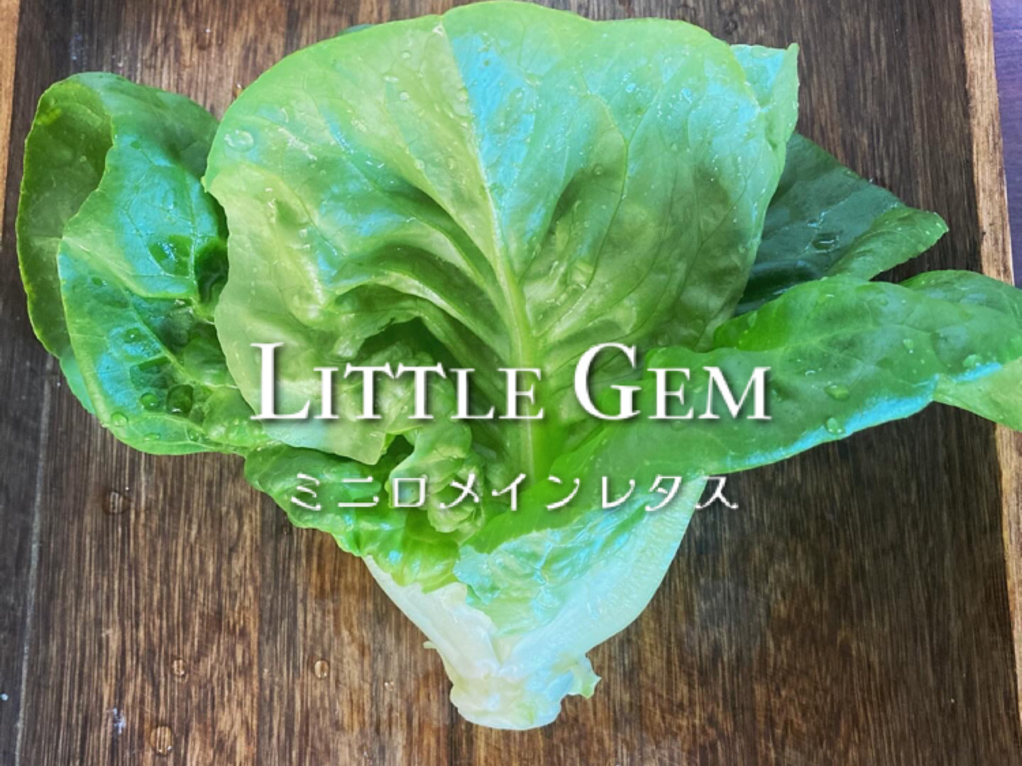 9525414d1ab2ed6fdad1d29e4eac66