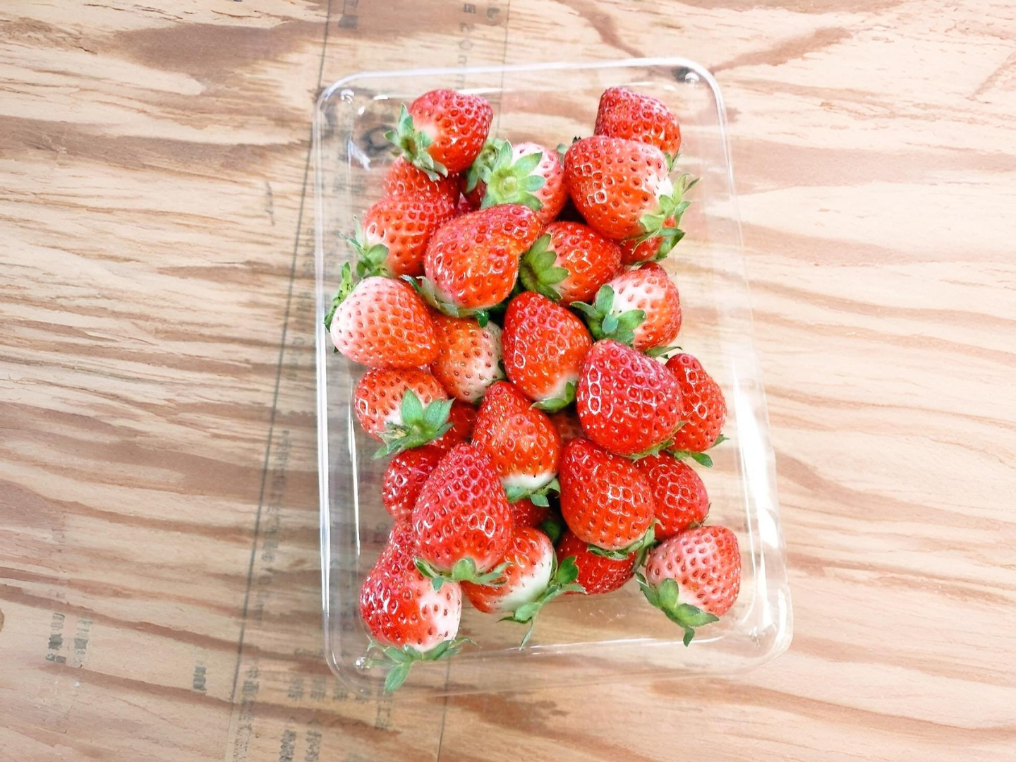【今年も始まりました✨】青森県産　大玉夏イチゴ　4kg　いちご　訳あり　加工用 今年も始まりました✨】青森県産 大玉夏イチゴ 4kg いちご 訳