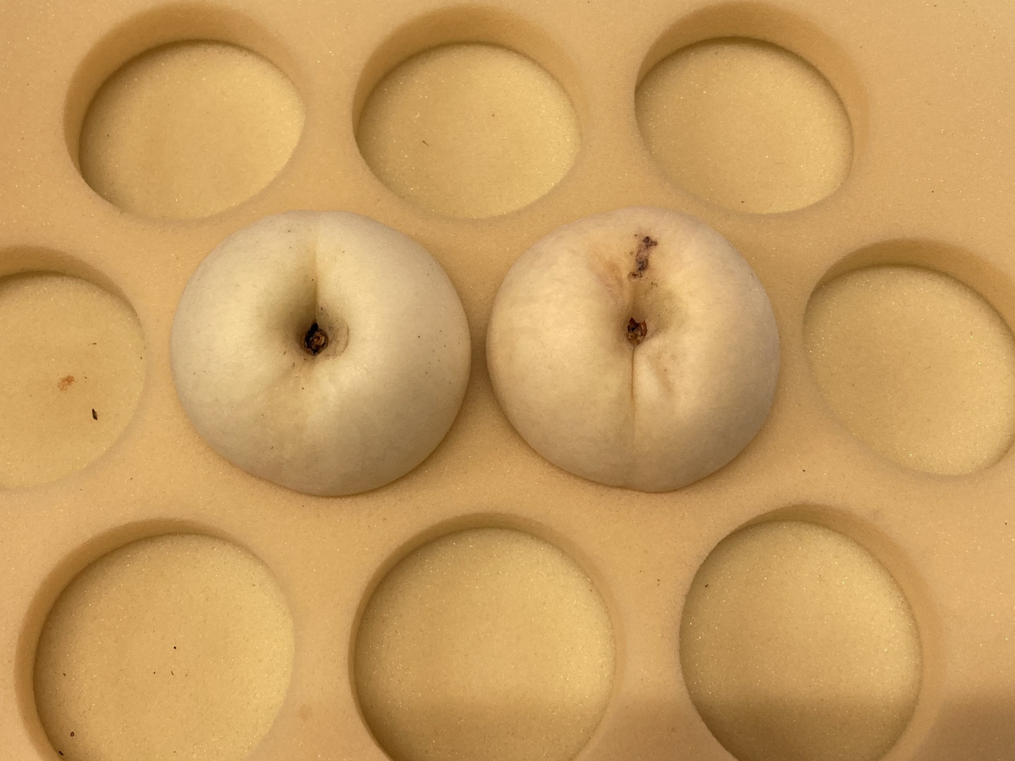 🍑🍑【農家の朝食】小箱【3〜6個】2箱セット【ゴールデンピーチ