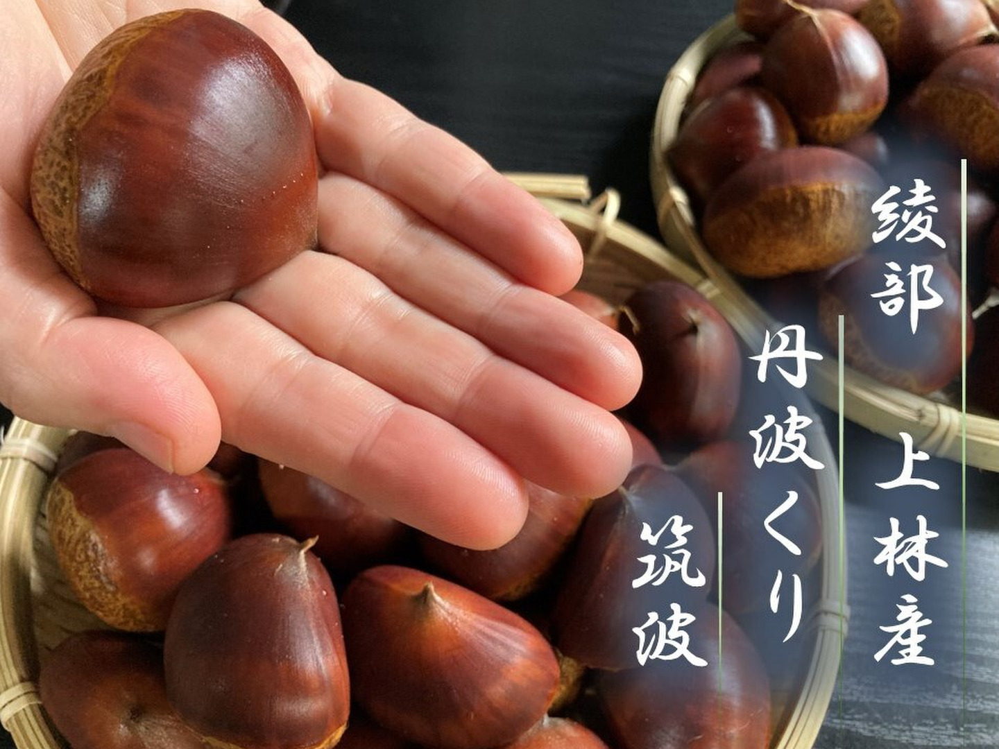 丹波くり 晩生 「筑波」 希少4Lサイズ 約1kg（本州のみ）④：京都府産