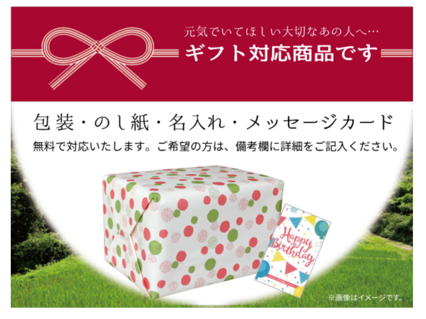 米 送料無料 令和6年産 「愛媛県産 ヒノヒカリ 5kg 」ひのひかり